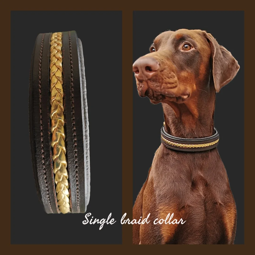 Stampede Equestrian — Dog Collars