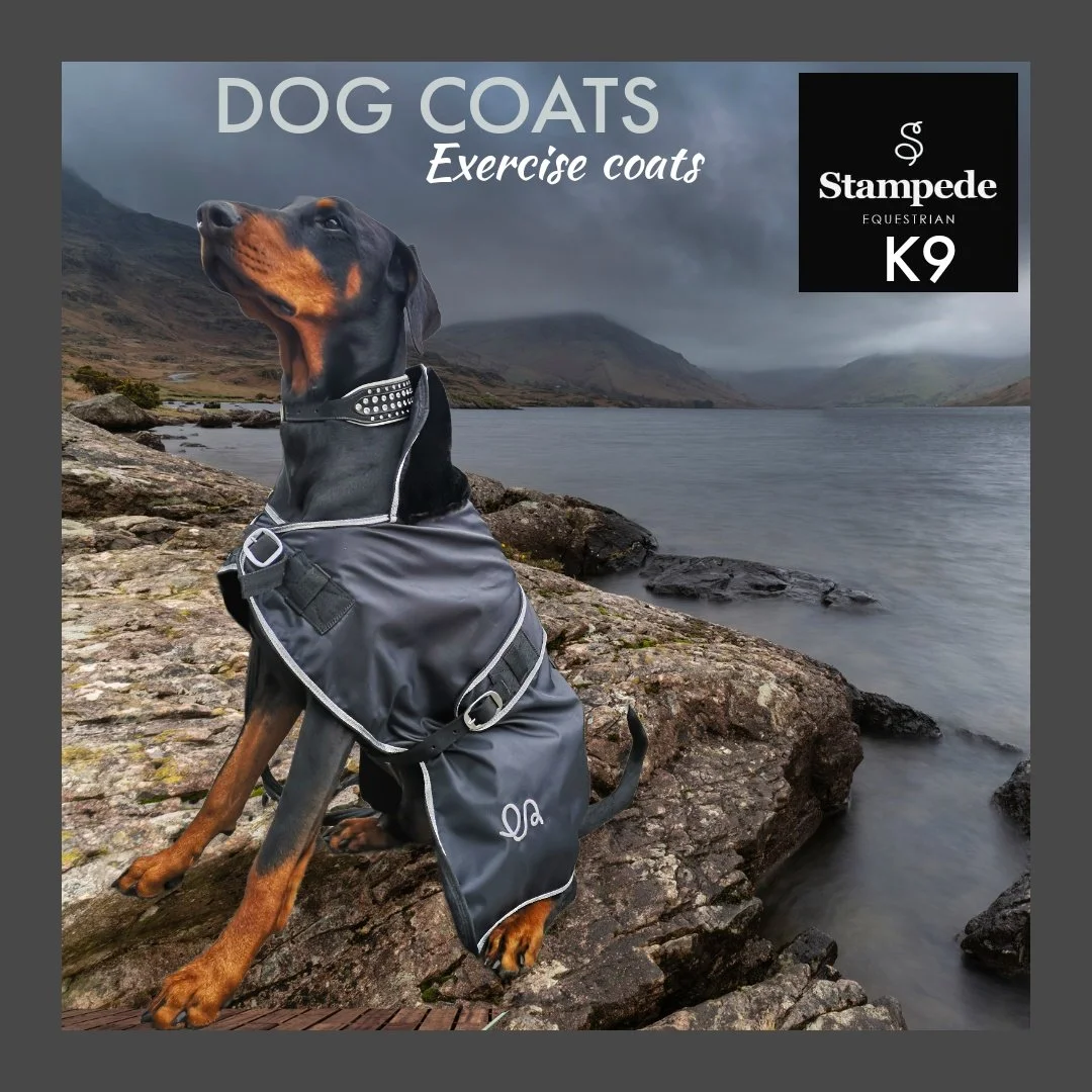 Stampede Equestrian — Dog Coats