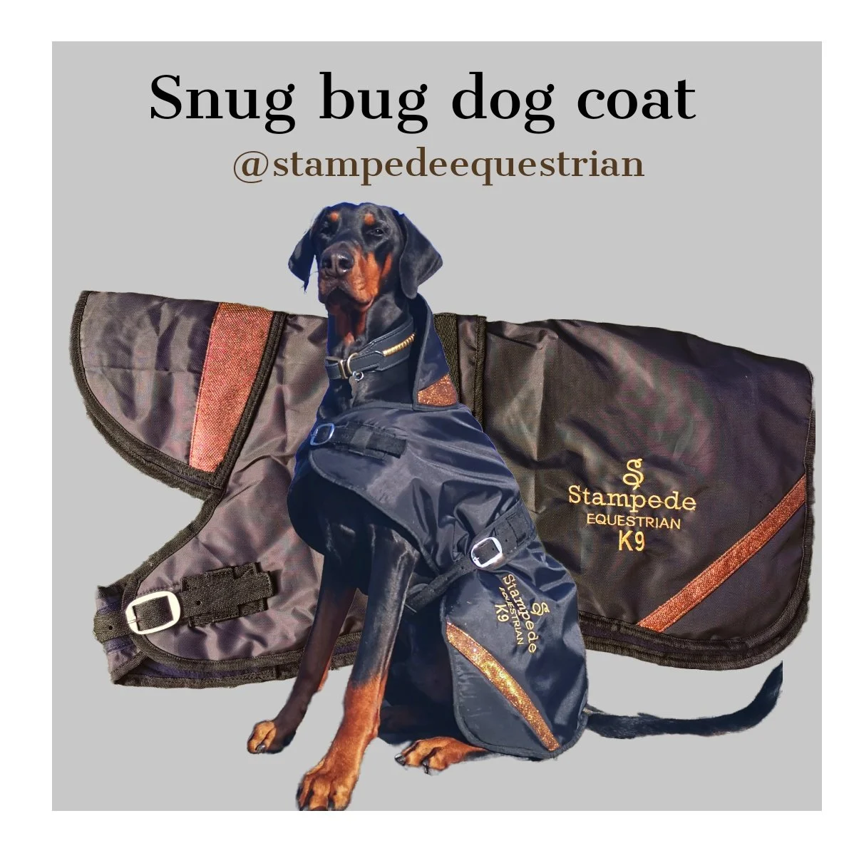 Stampede Equestrian — Dog Coats