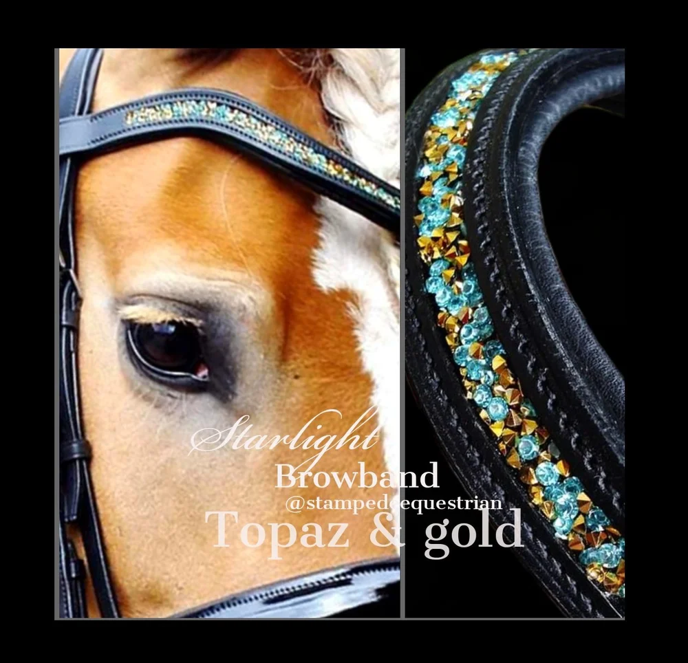 Frontal Pour Cheval Clouté Horsens – New Star – Taille Cheval (17″) – Neuf
