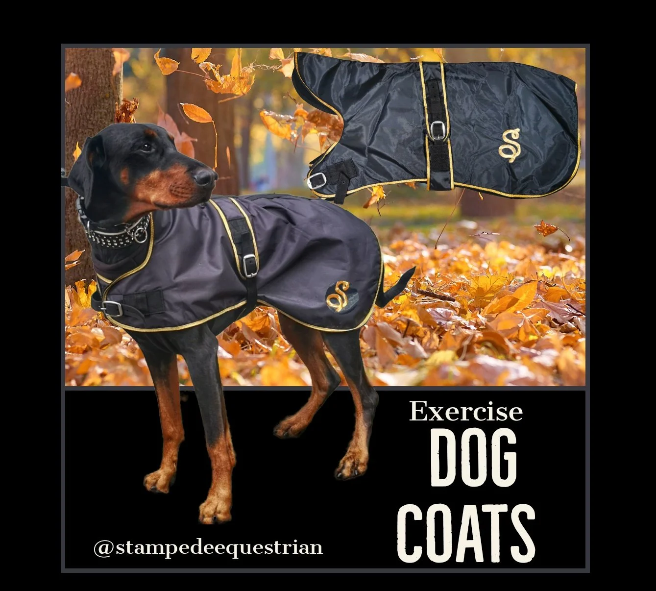 Stampede Equestrian — Dog Coats