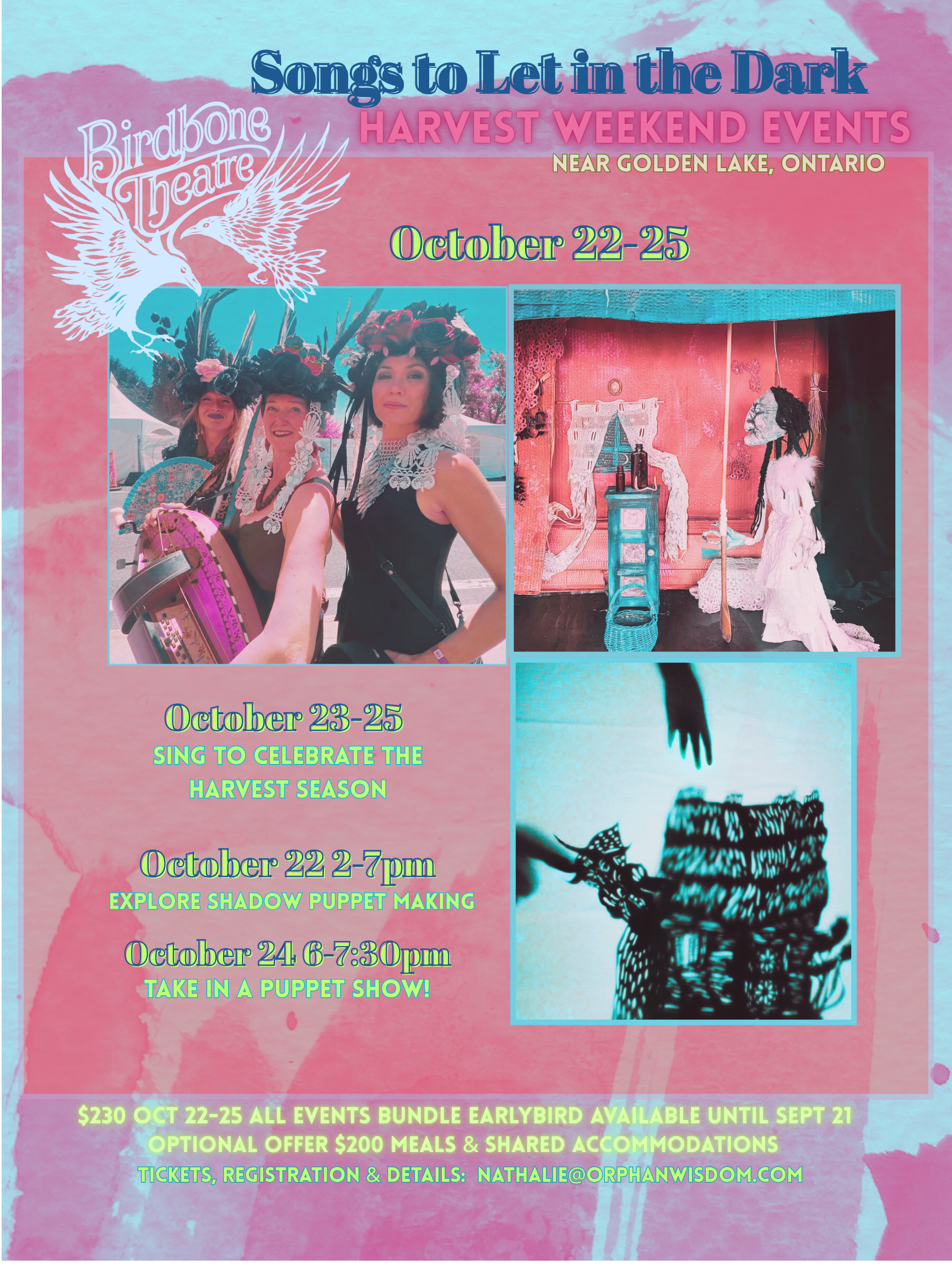 Birdbone Website_ Songs to Let in the Dark 2026-Main Poster-MAKE EDITS HERE.png