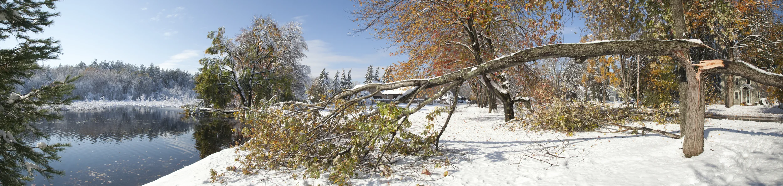 PanoramaSnow.jpg