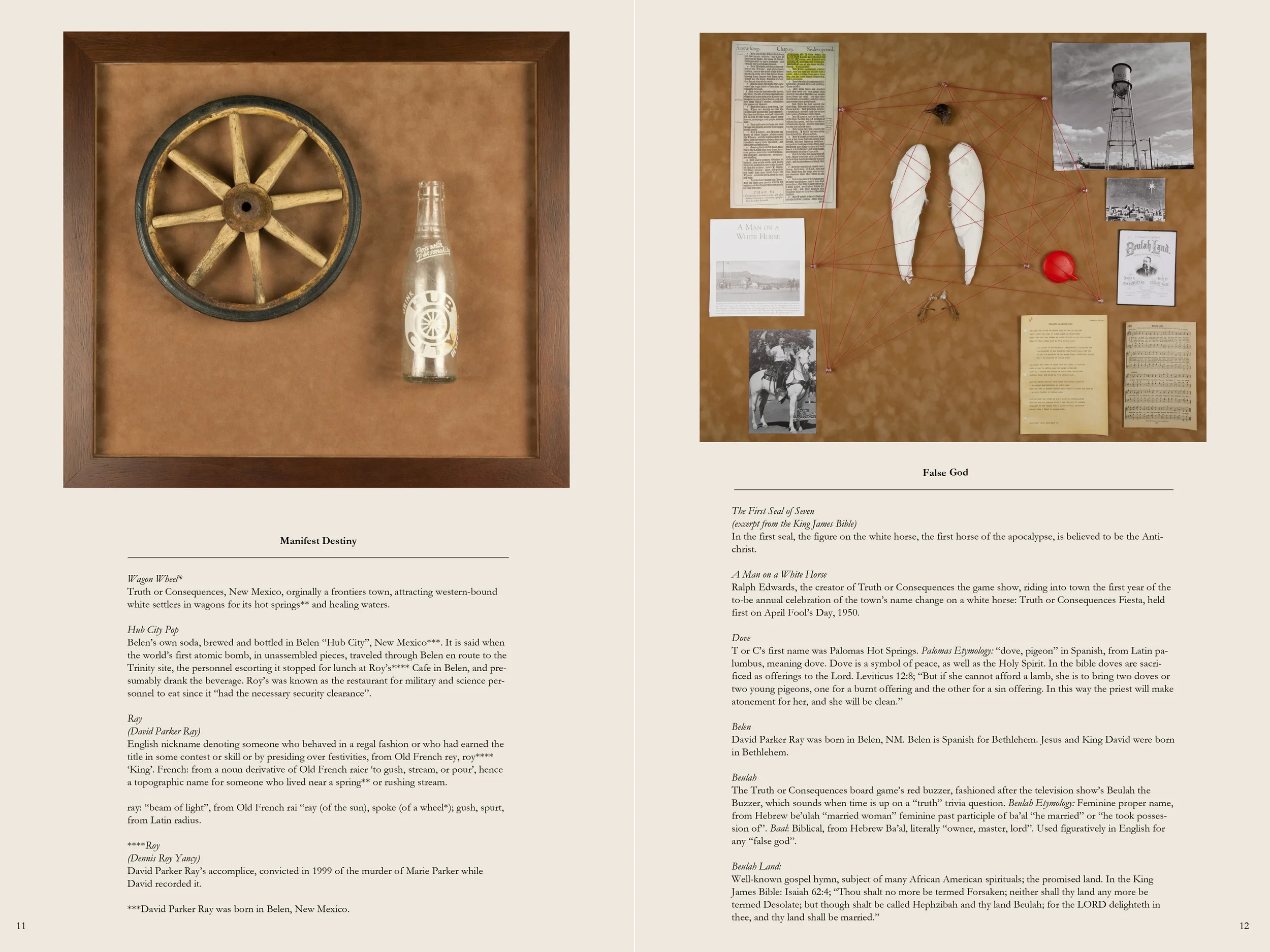 dovefalseprophet copy.jpg