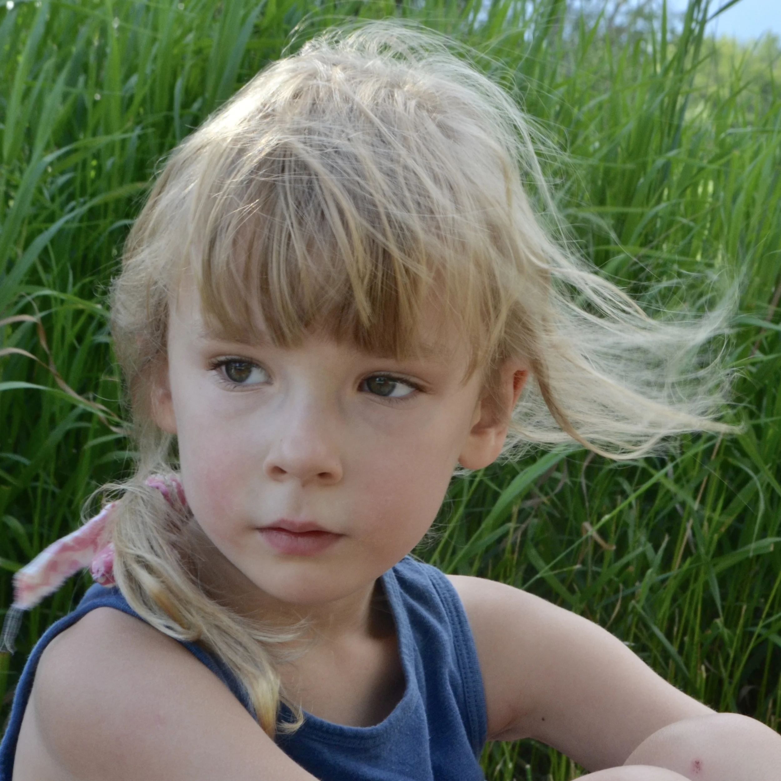 Day in the life, June 28 2016