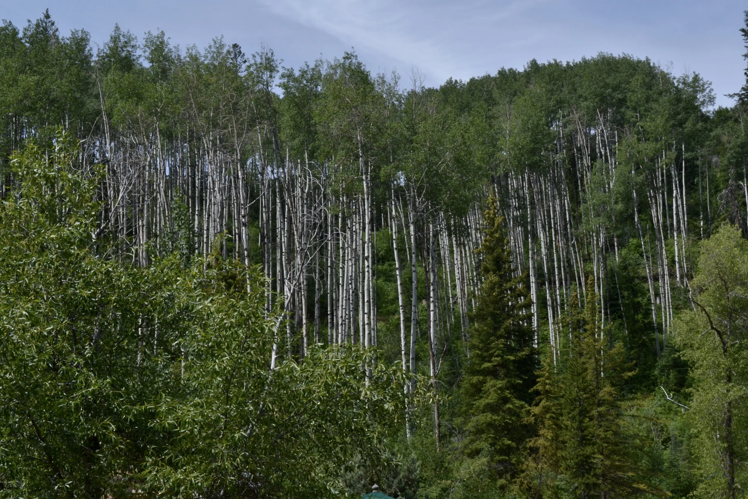 12 fun things to do with kids: July, 2016