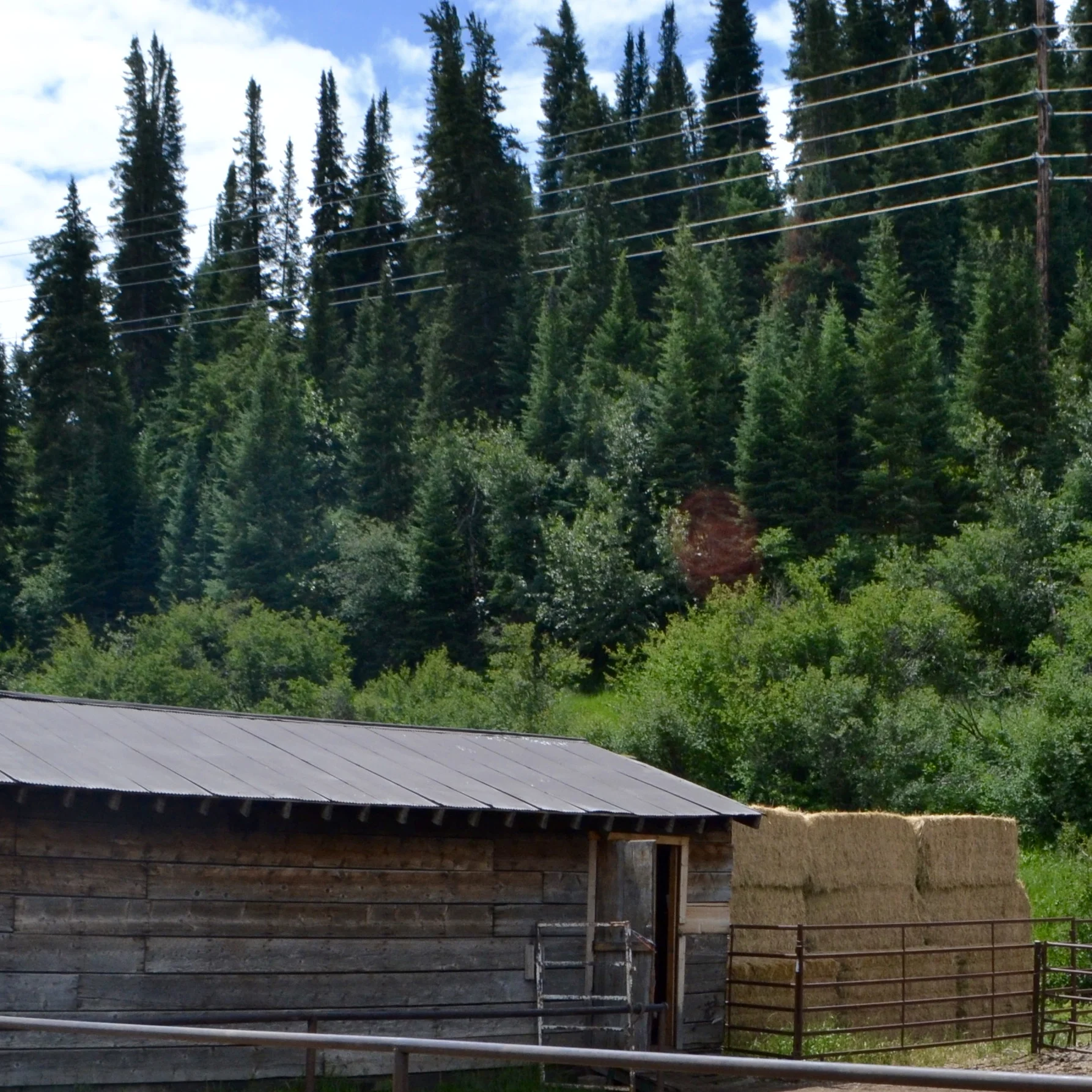 Grace in small things, July 6, 2016