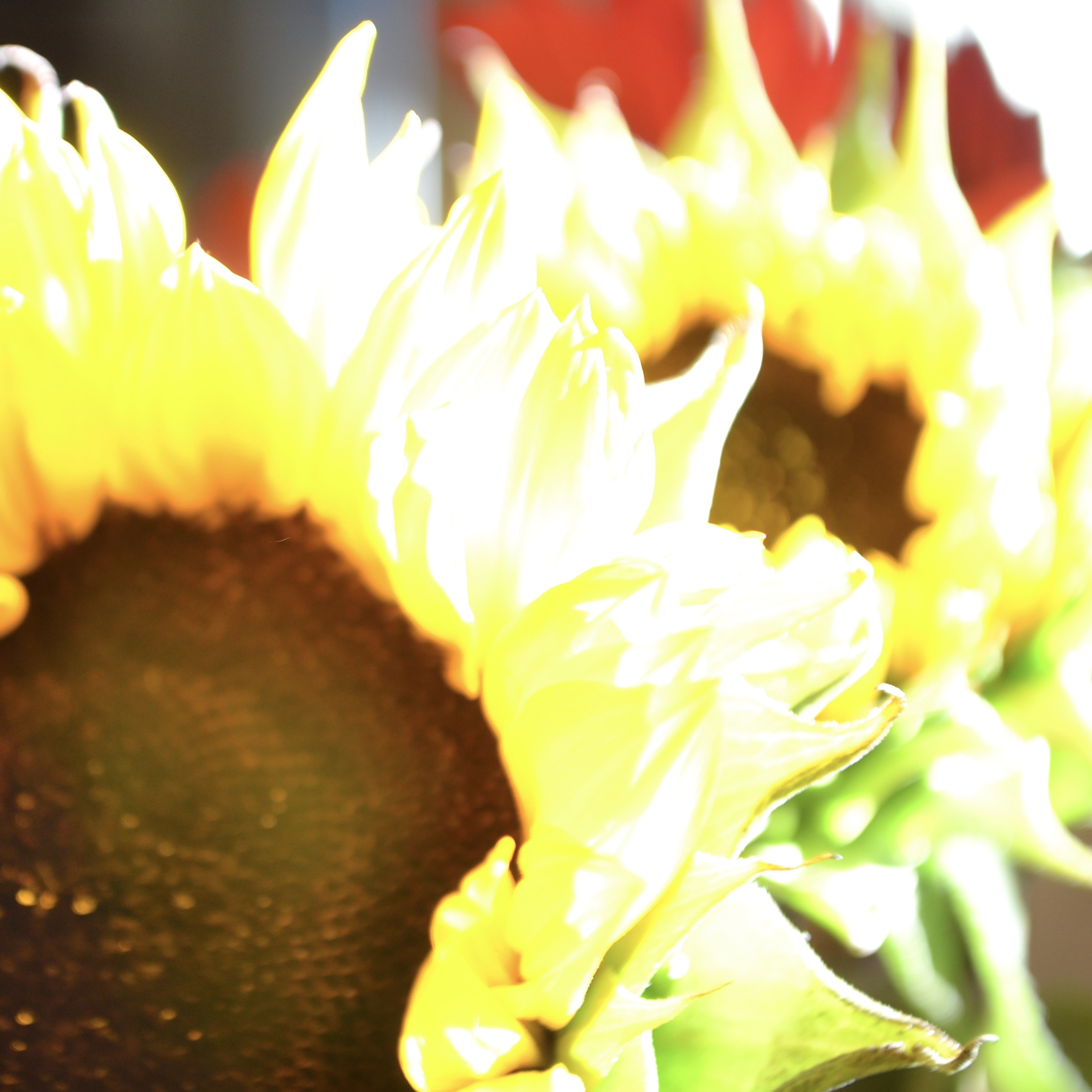 Grace in small things, July 17, 2016