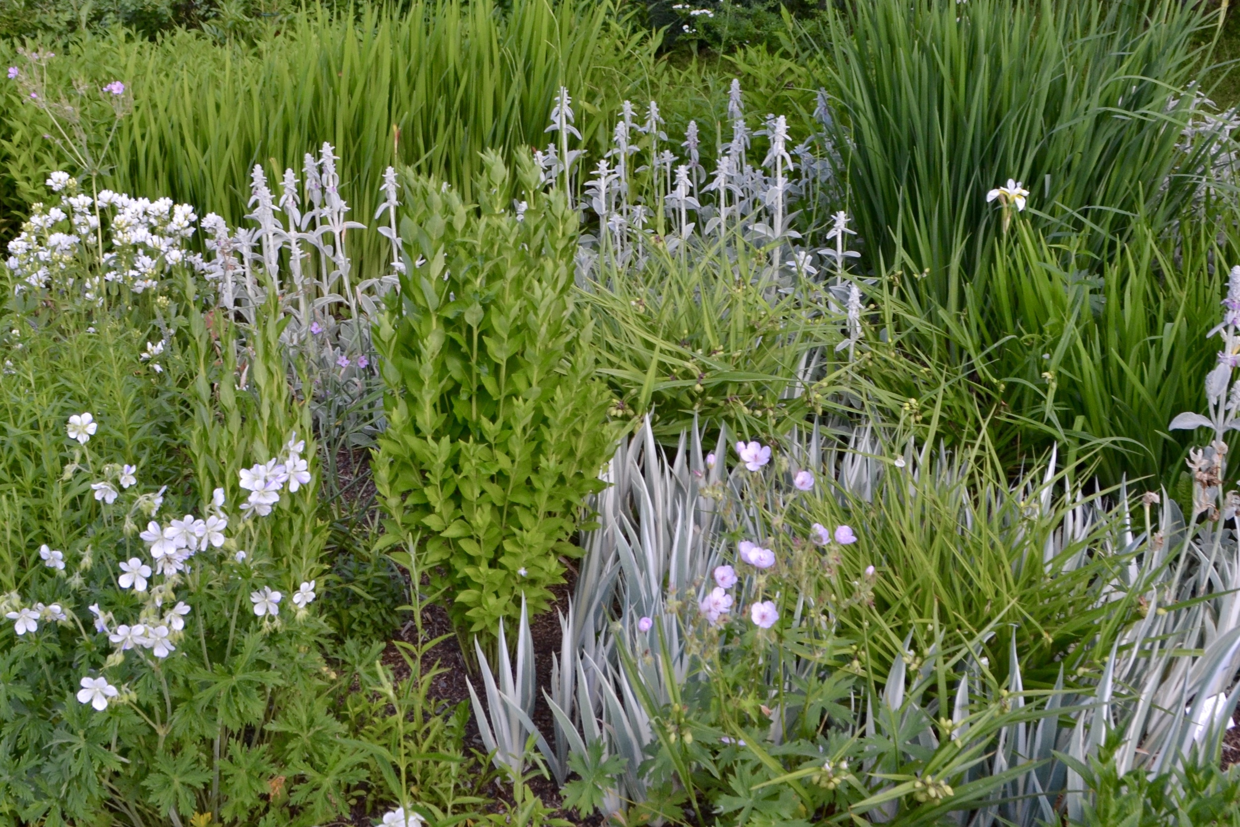 Steamboat with kids: Events, August 2016