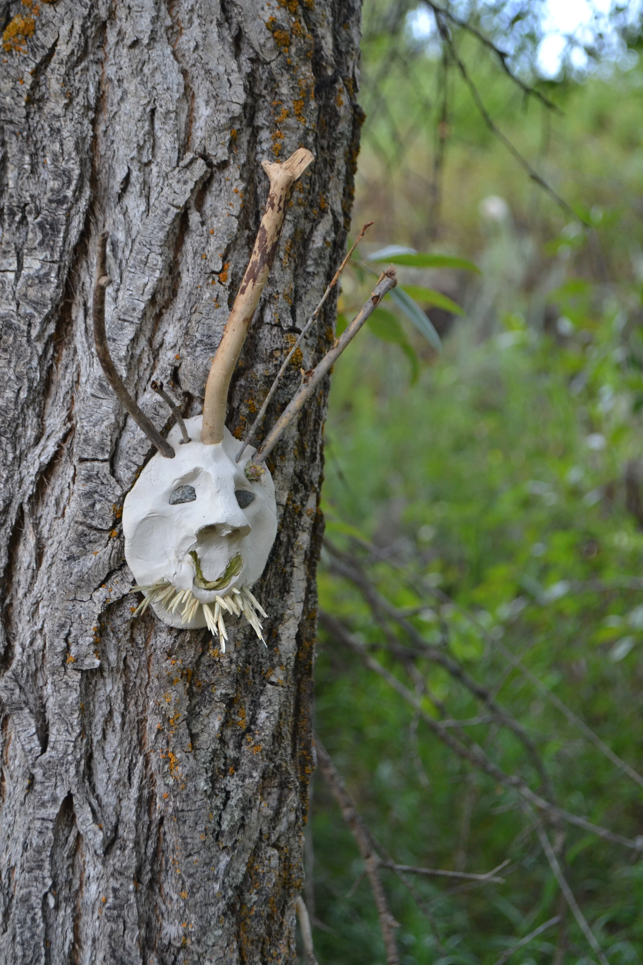 Tree guy