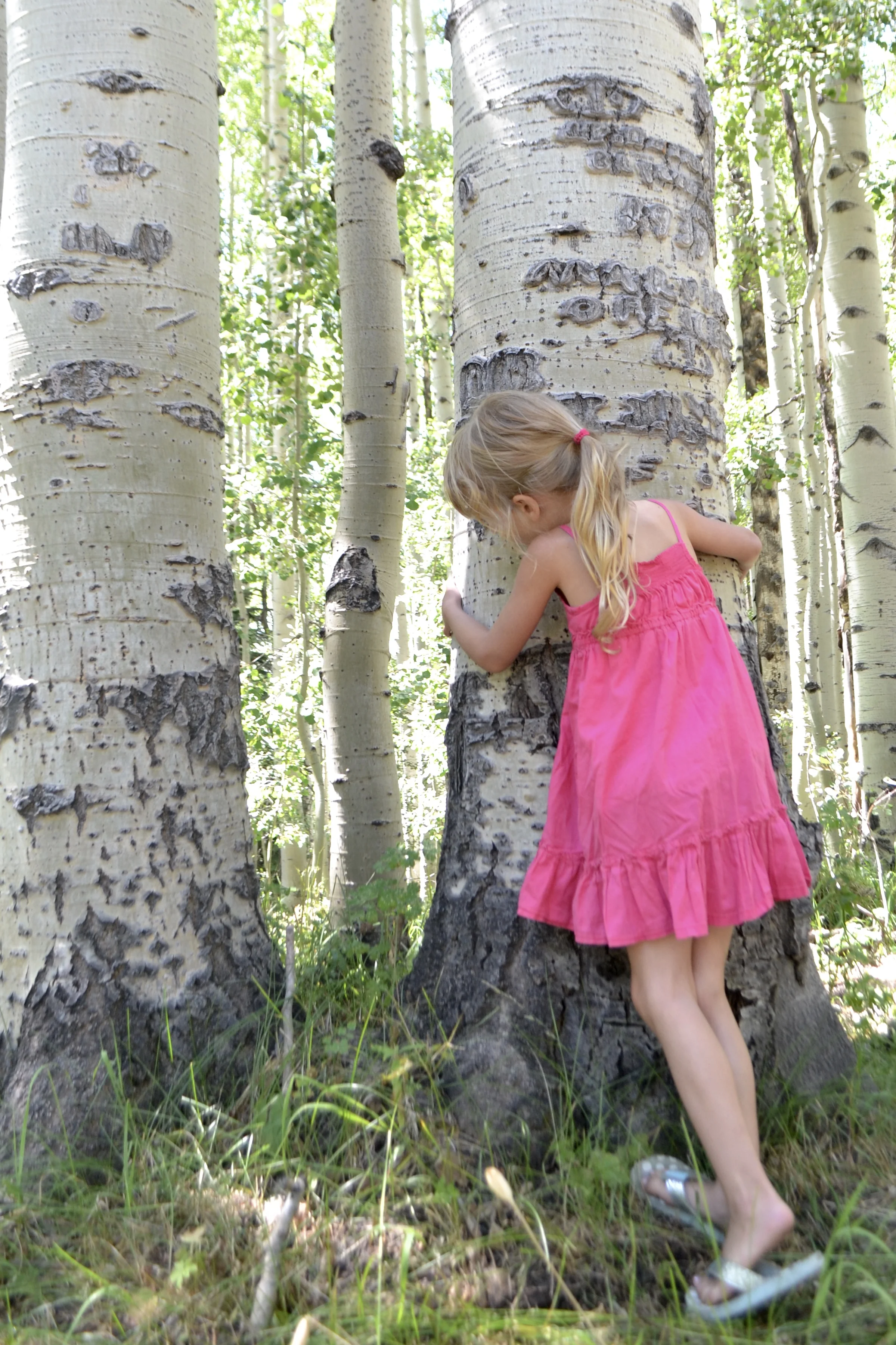 Grace in small things, August 7, 2016