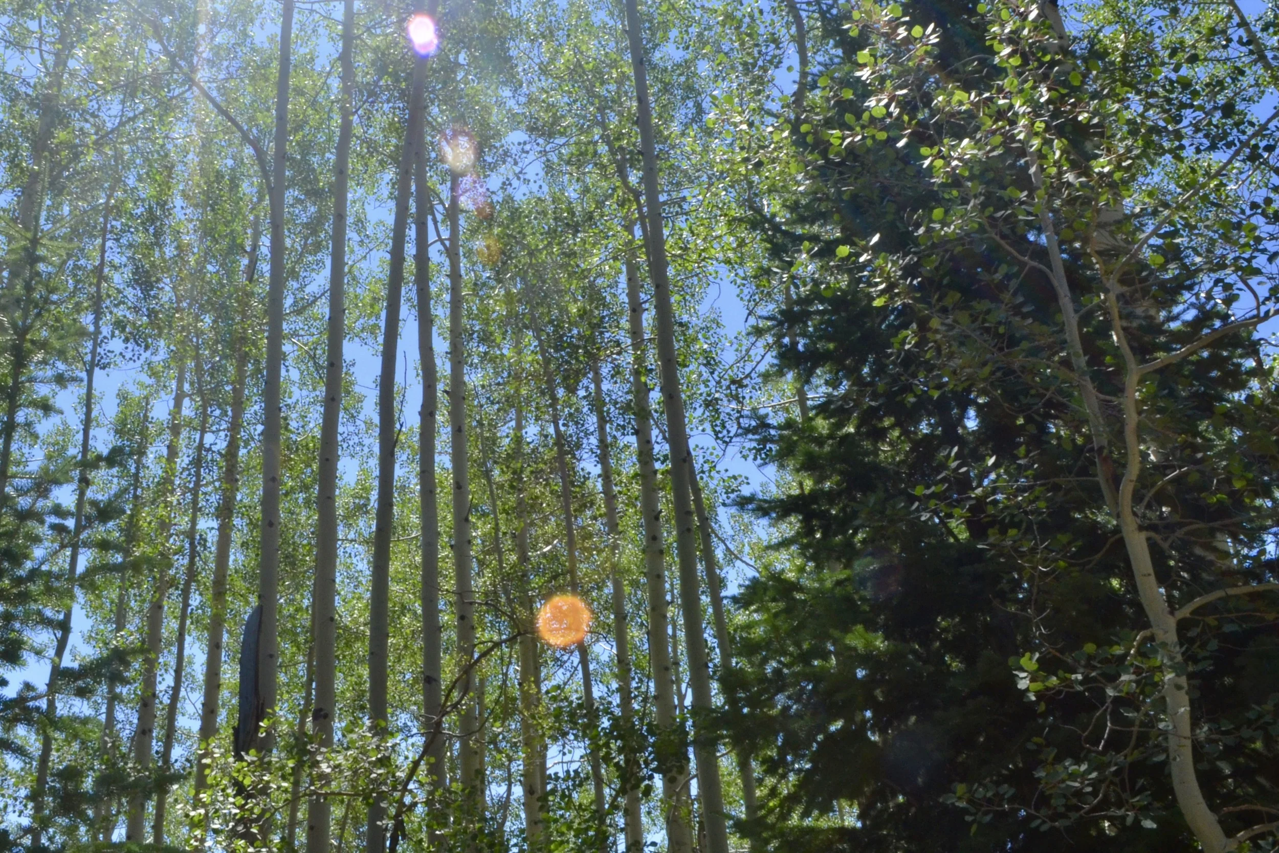 Grace in small things, August 8, 2016