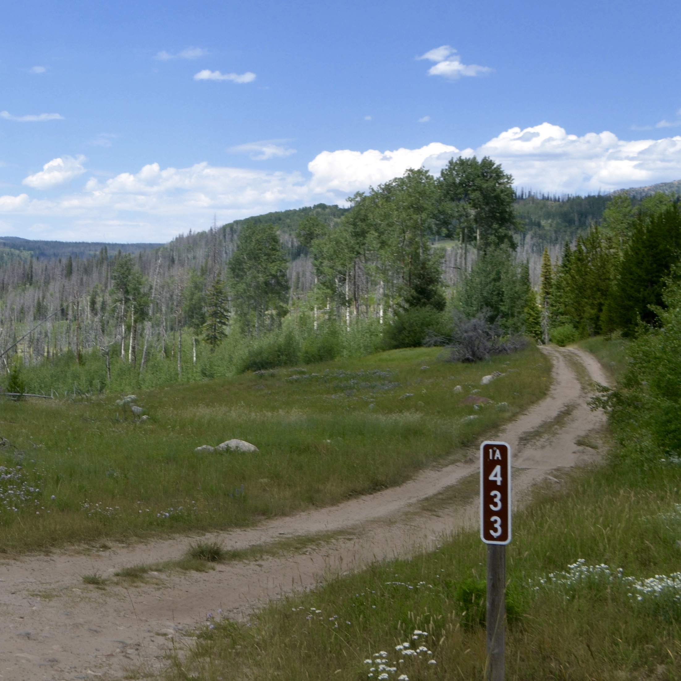 Jeeping Road 433, Routt National Forest