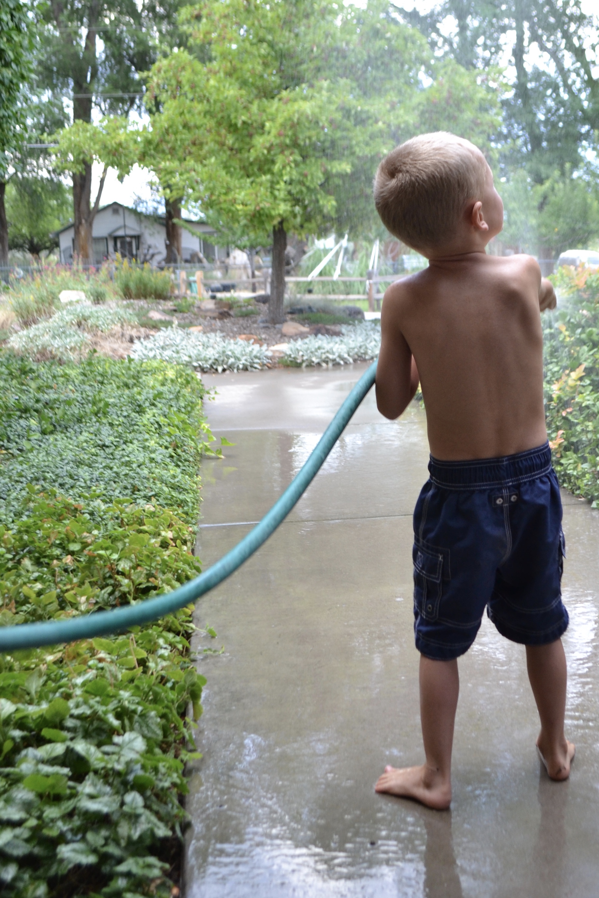 Summer Vacation, Grand Junction, August 2016