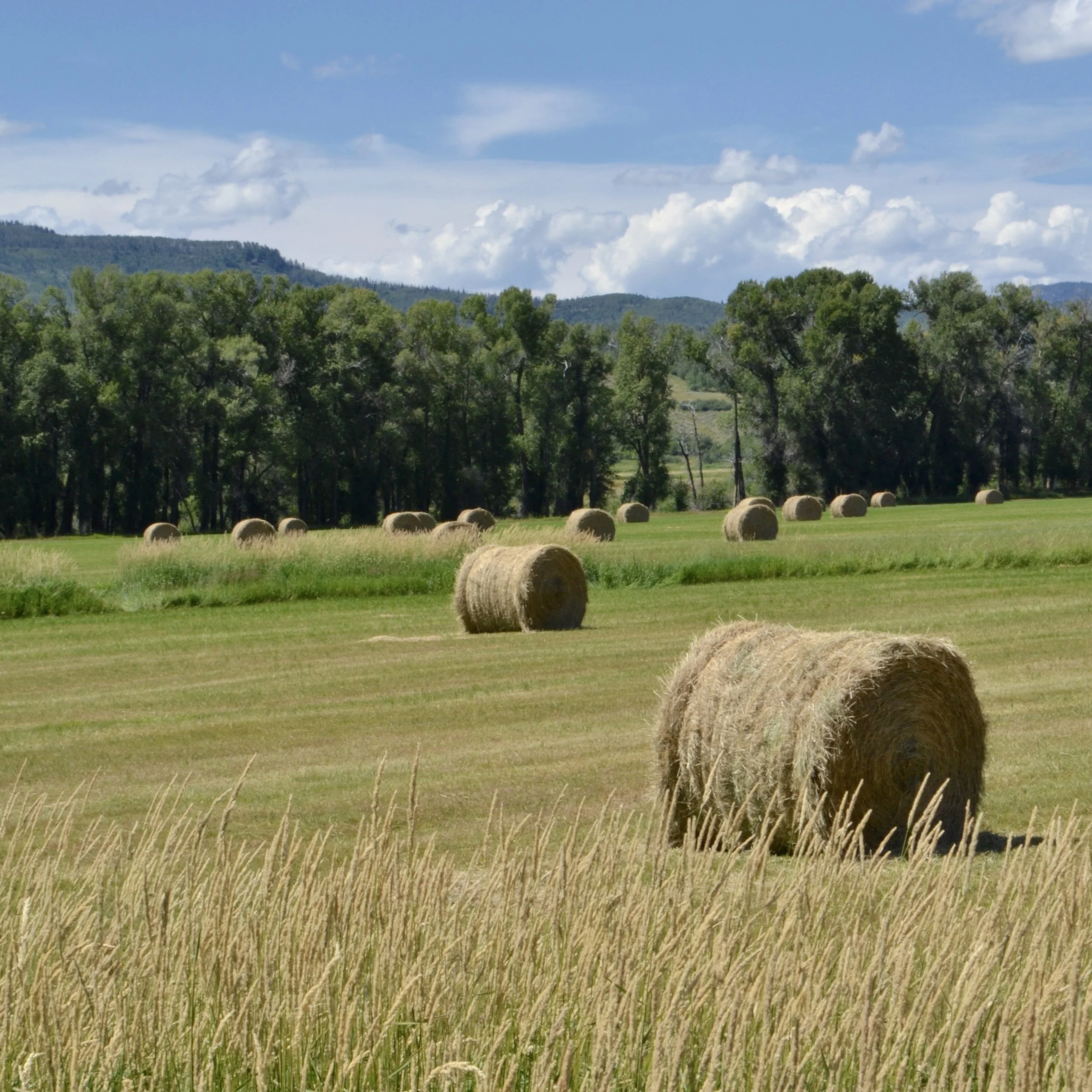Steamboat with kids (and for artsy parents): September, 2016