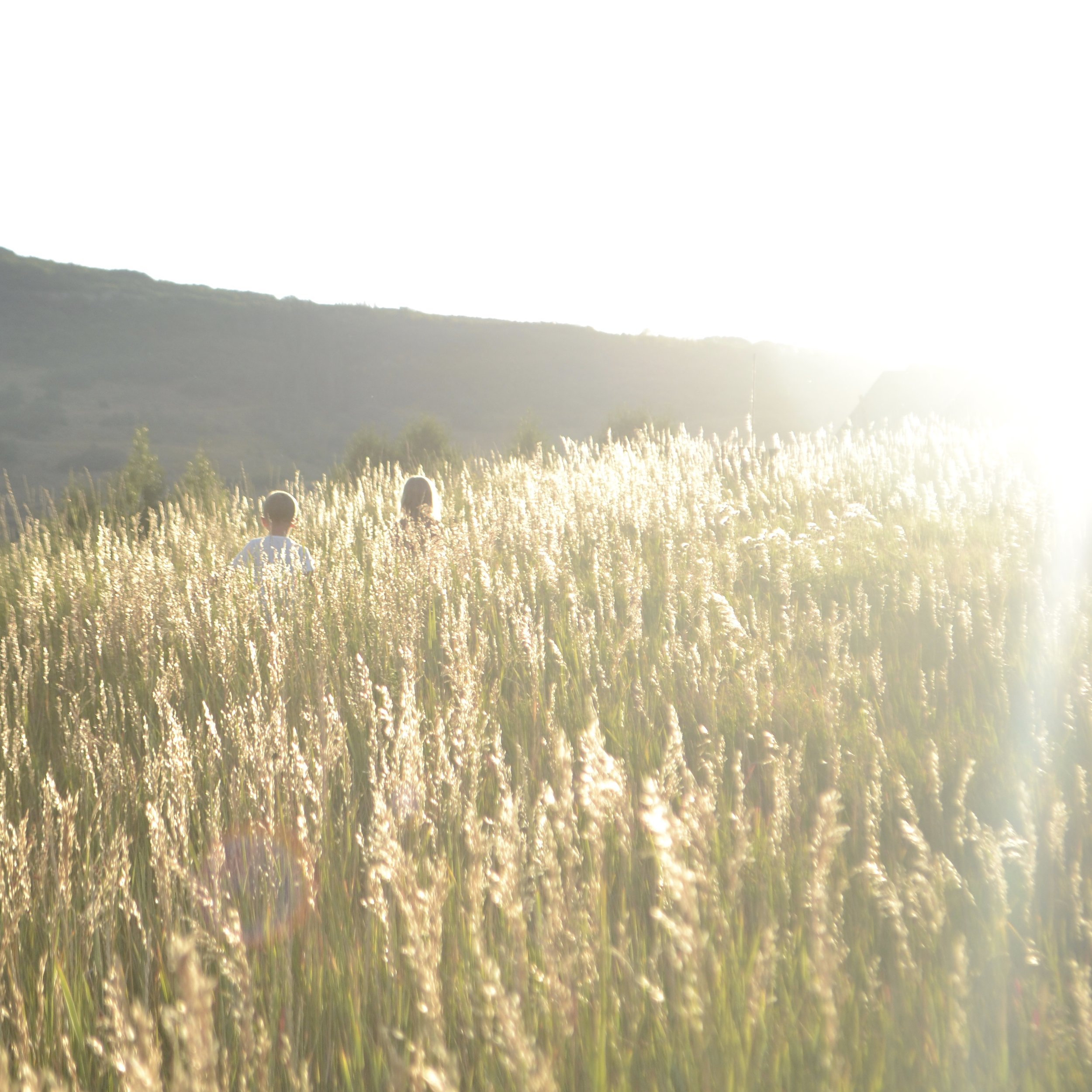 Hike to Picnic Rock, late summer