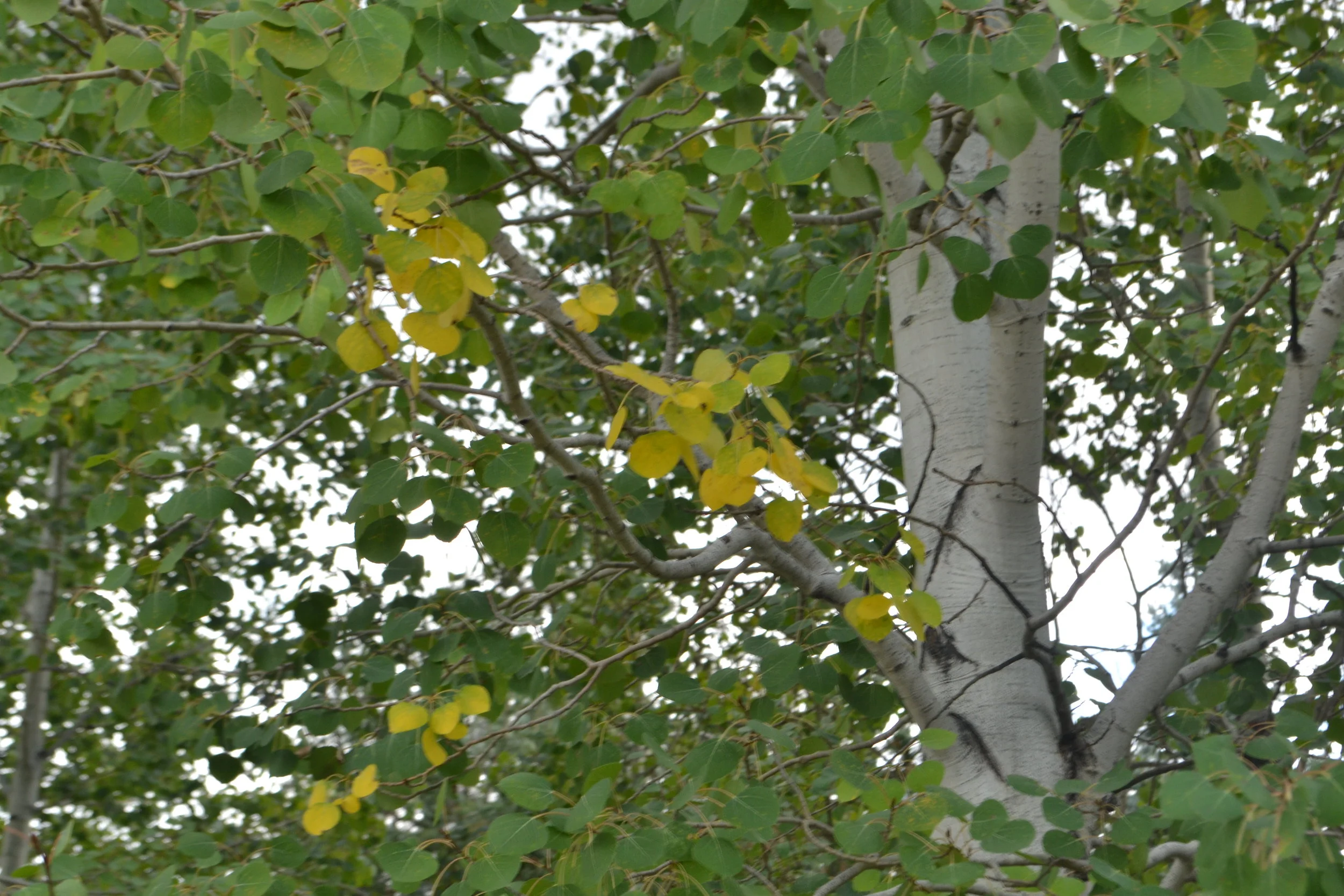 Grace in small things, September 12, 2016