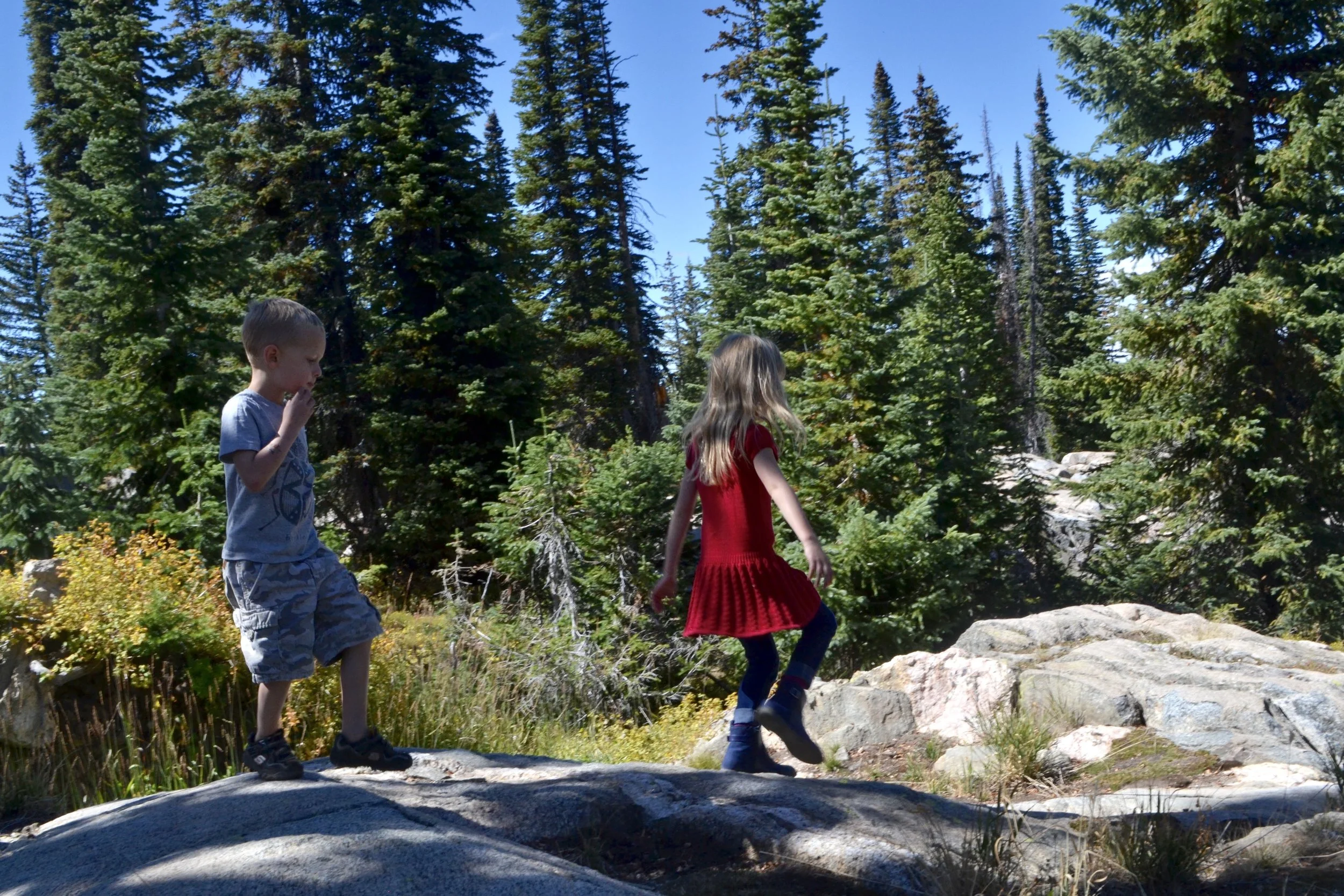 Jeeping Buffalo Pass, late summer