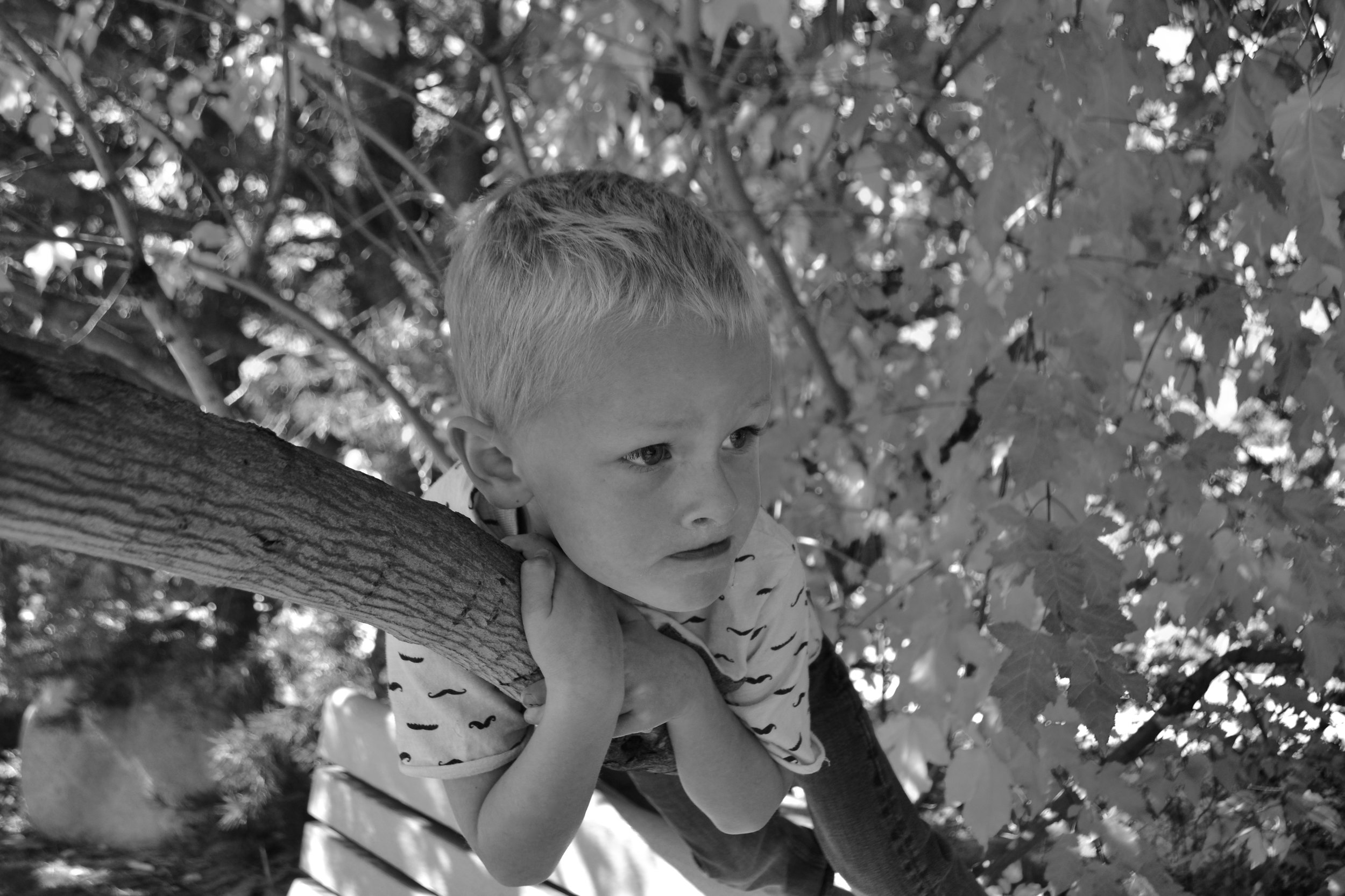 Grace in small things, September 28, 2016