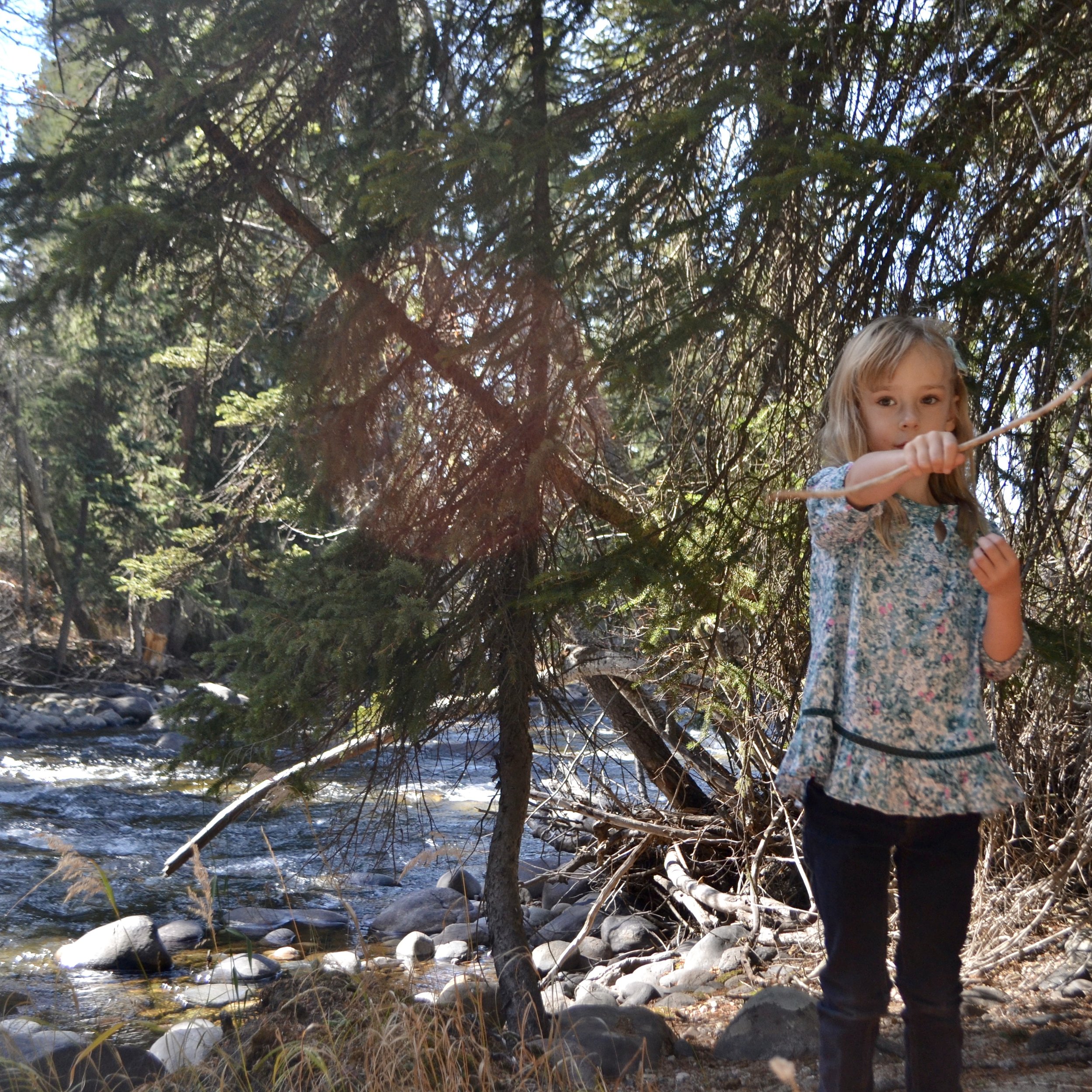 Sunday river picnic