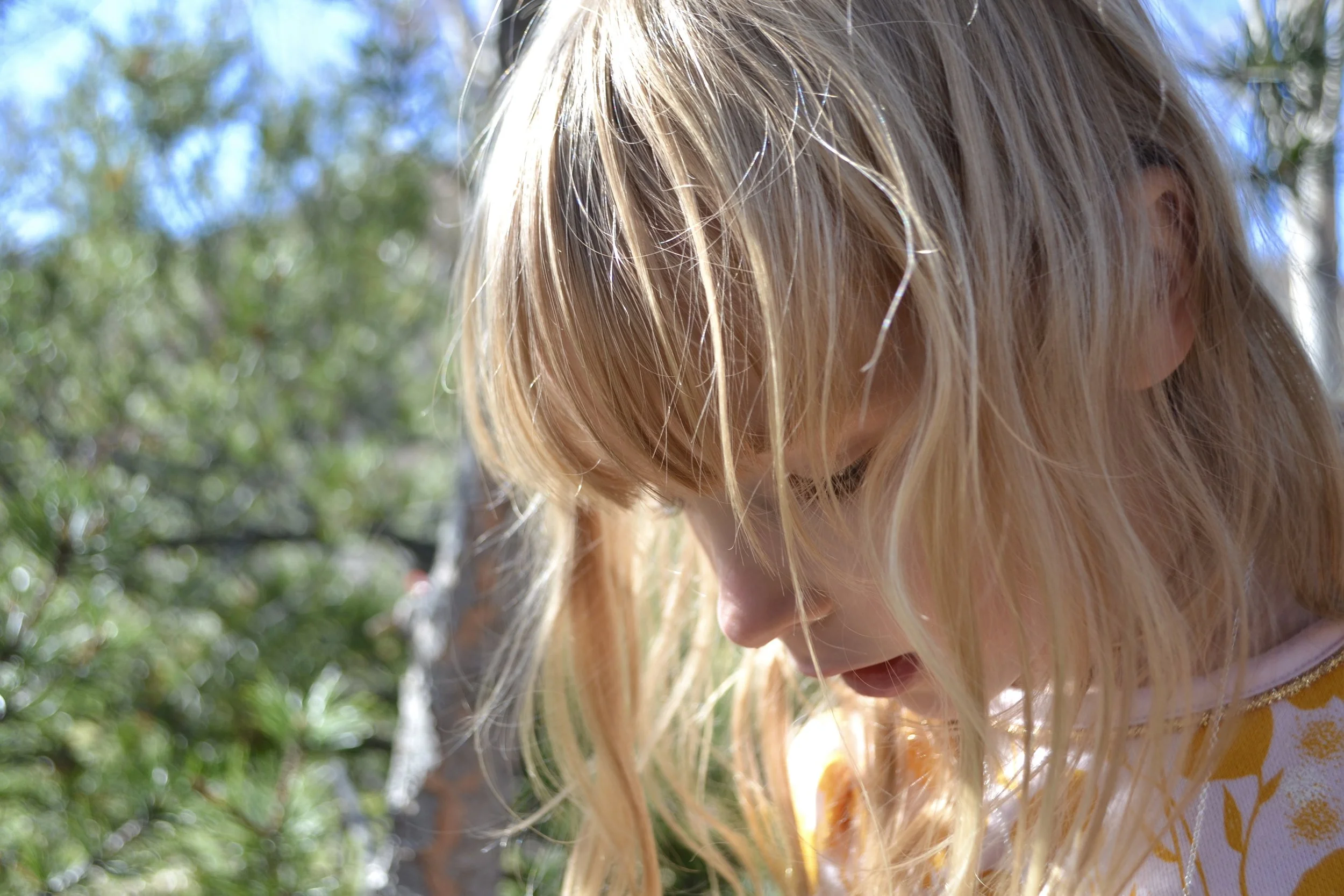 Grace in small things, November 7, 2016