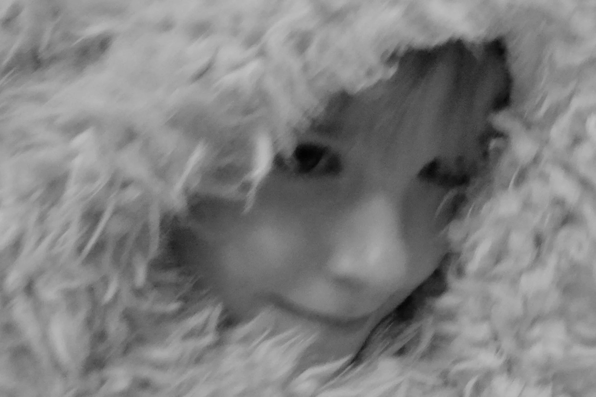 Grace in small things, November 16, 2016