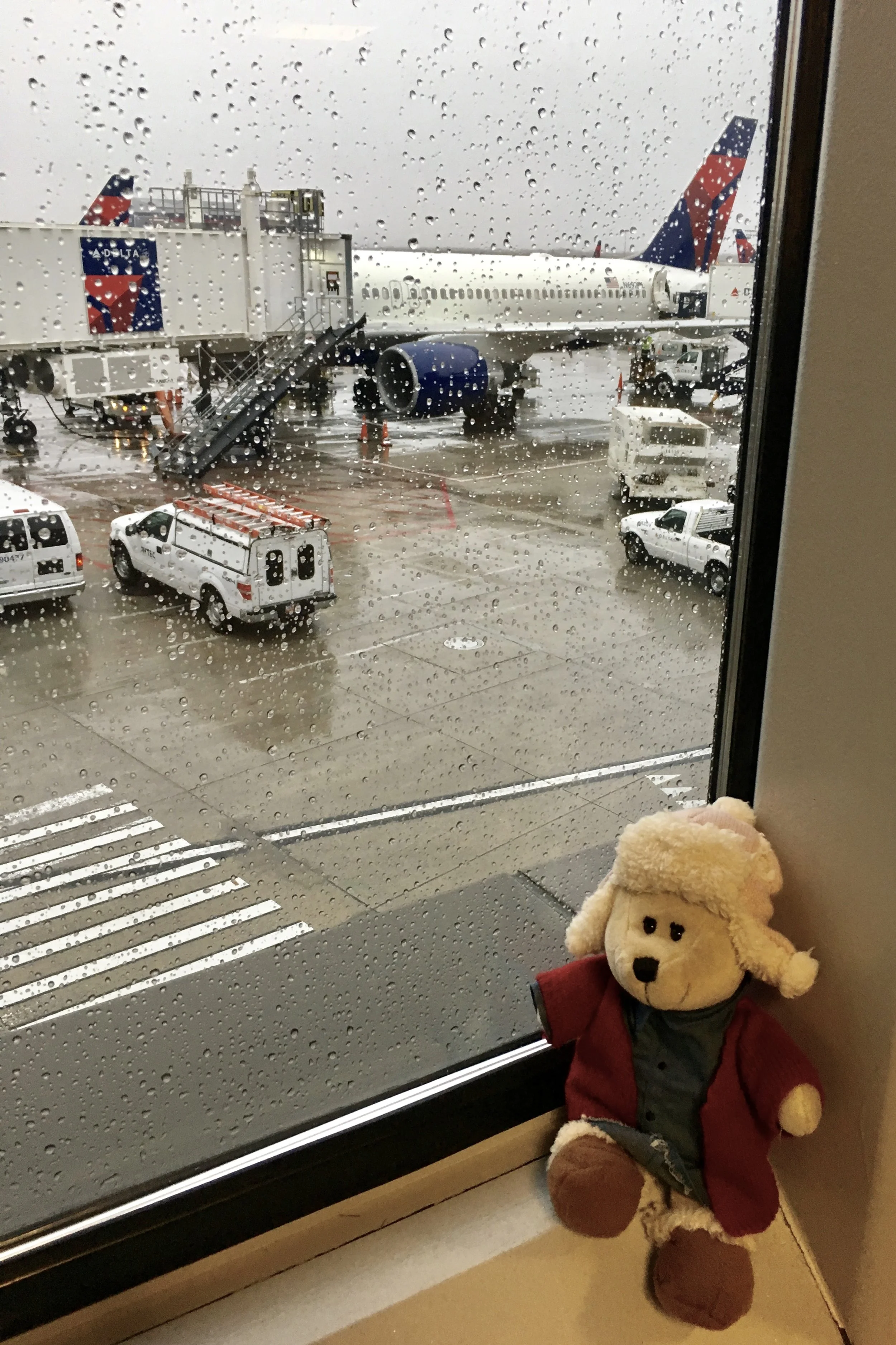 In which Little Bear (and I) have an unexpected adventure...