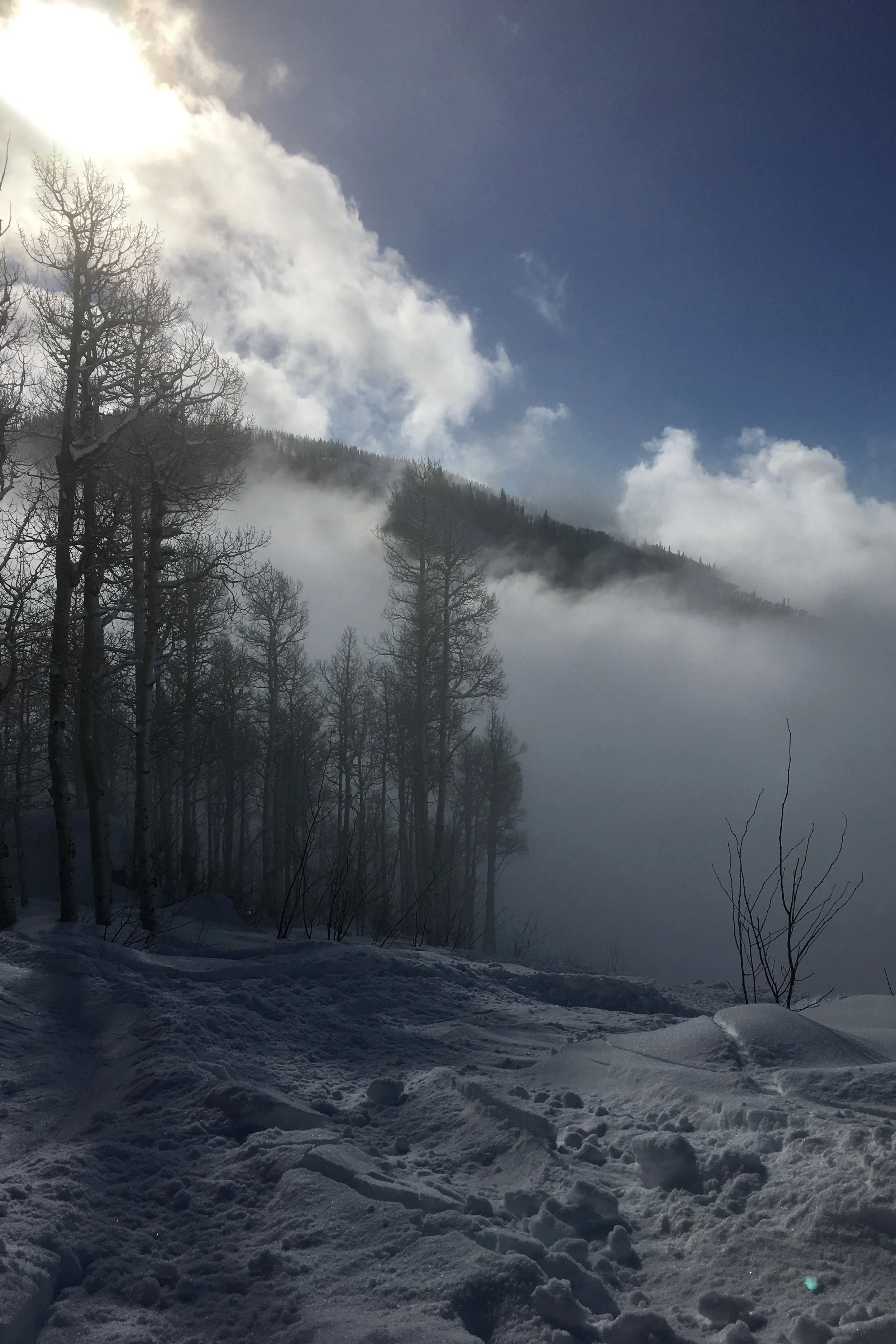 First powder day...