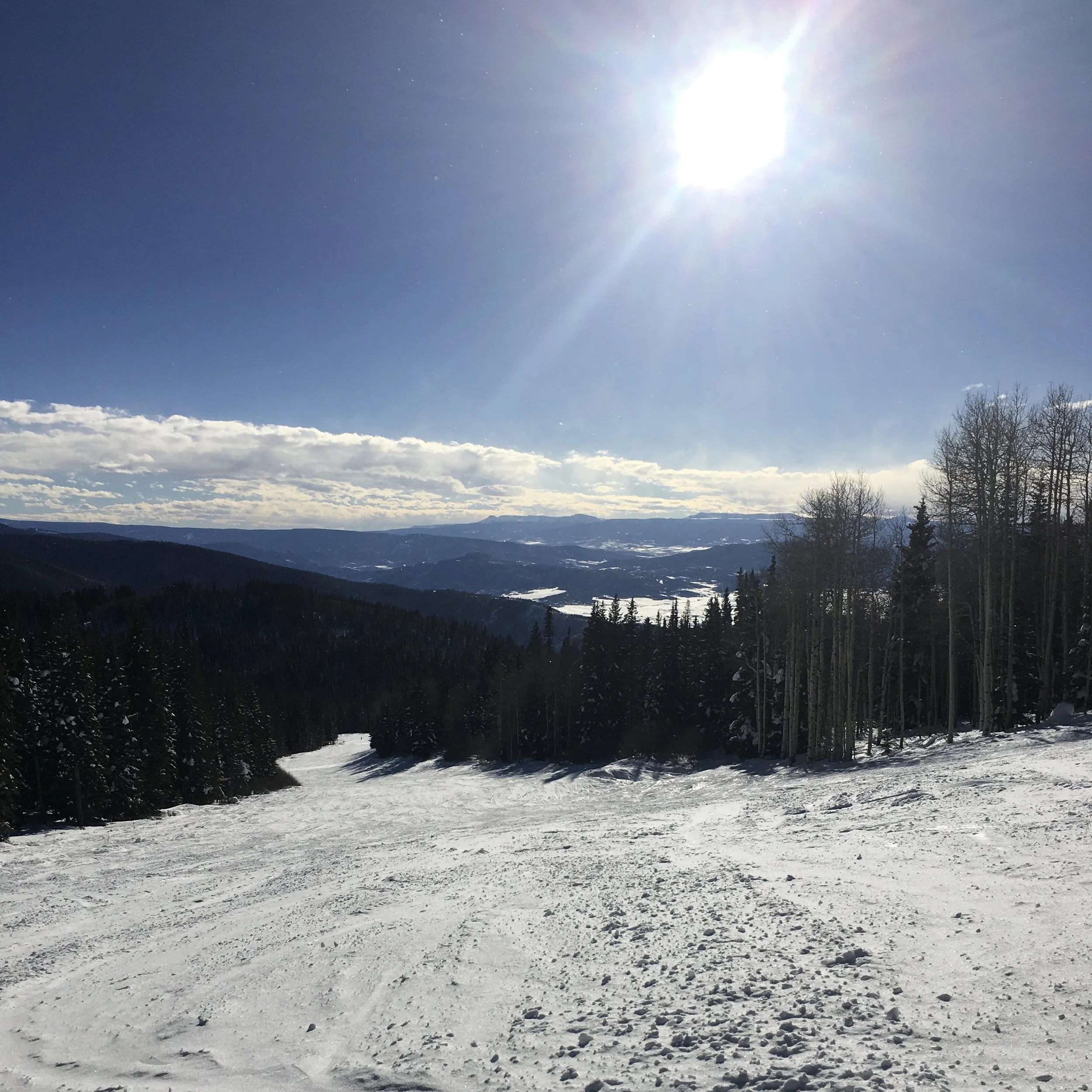 Bluebird day...