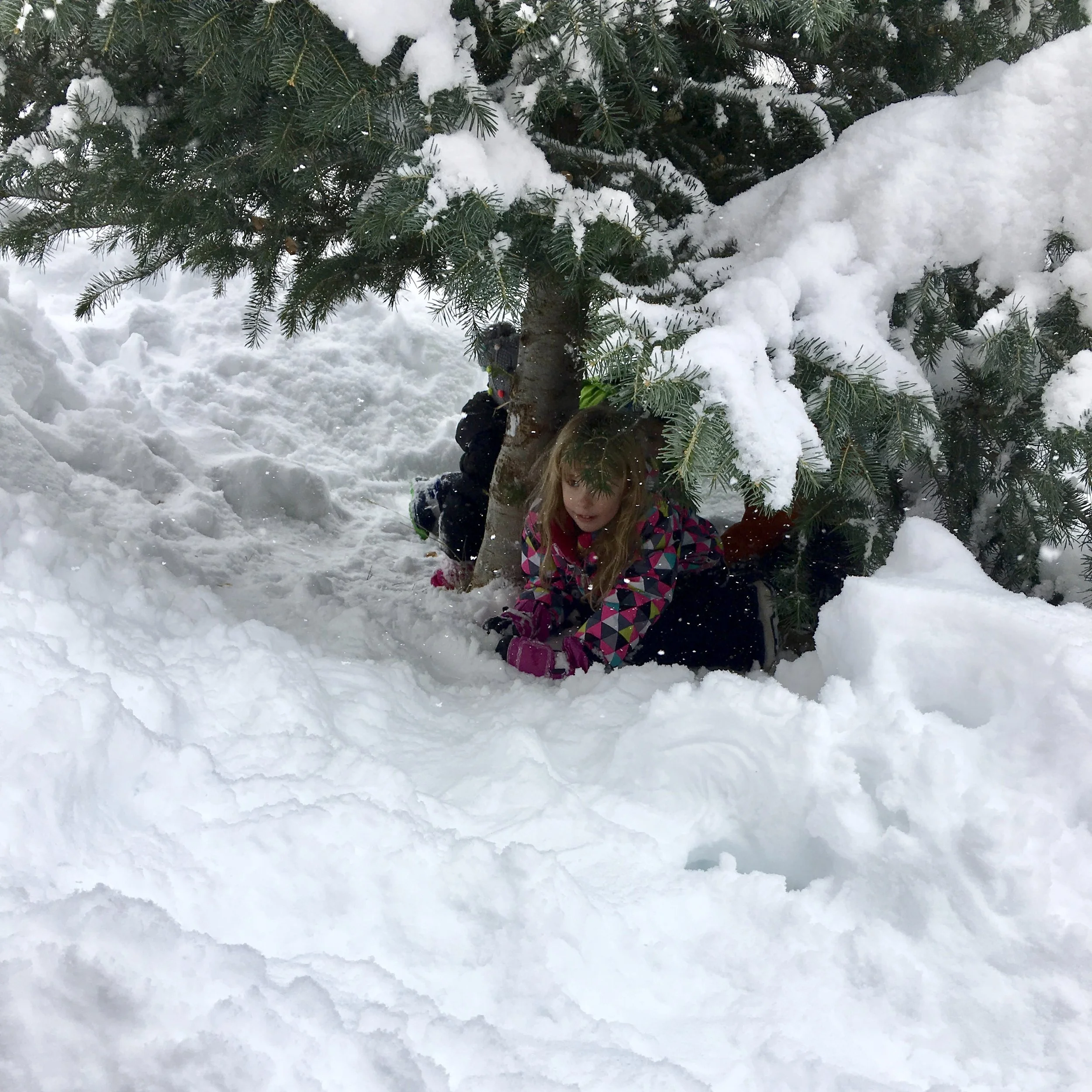 Grace in small things, December 28, 2016