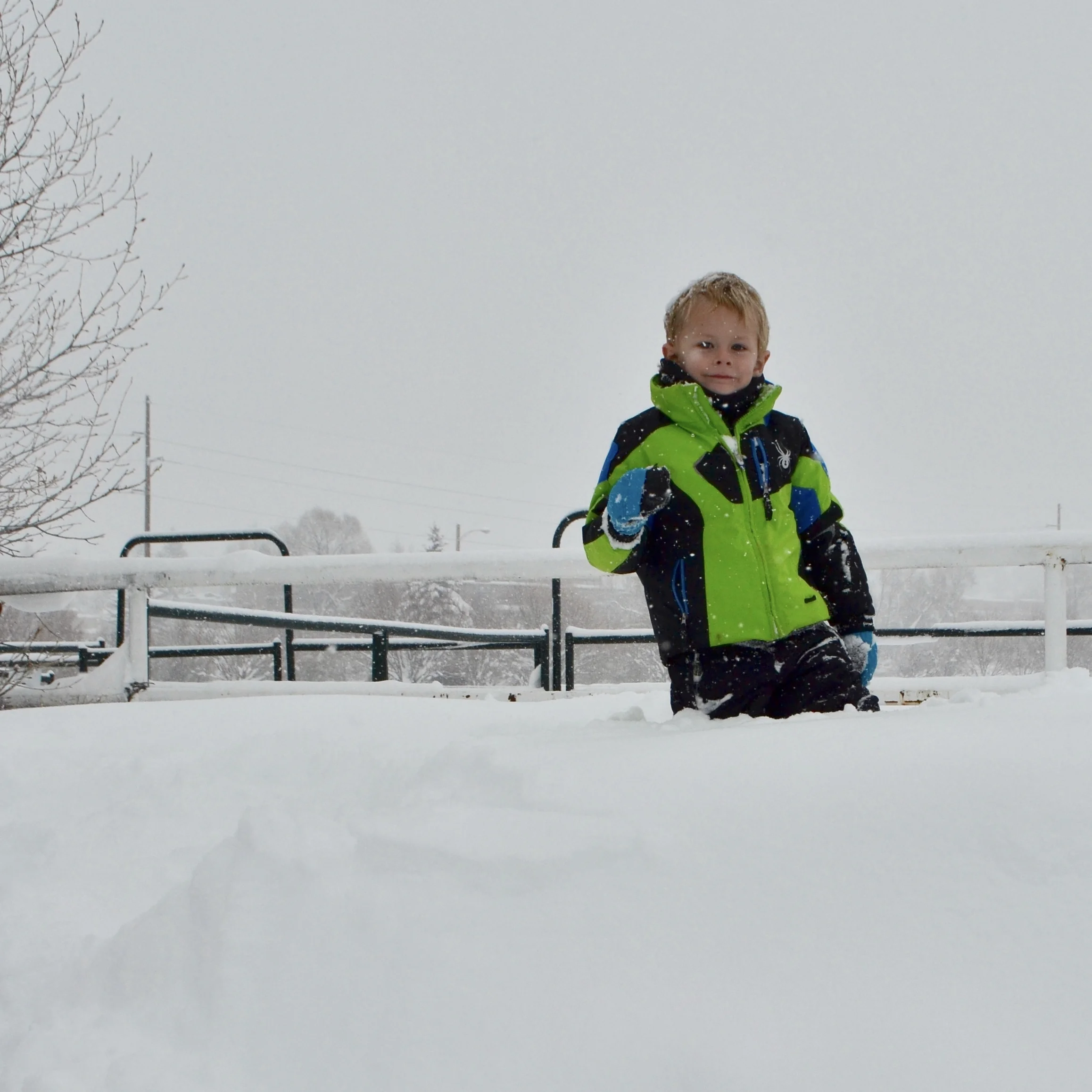 Grace in small things, January 7, 2016
