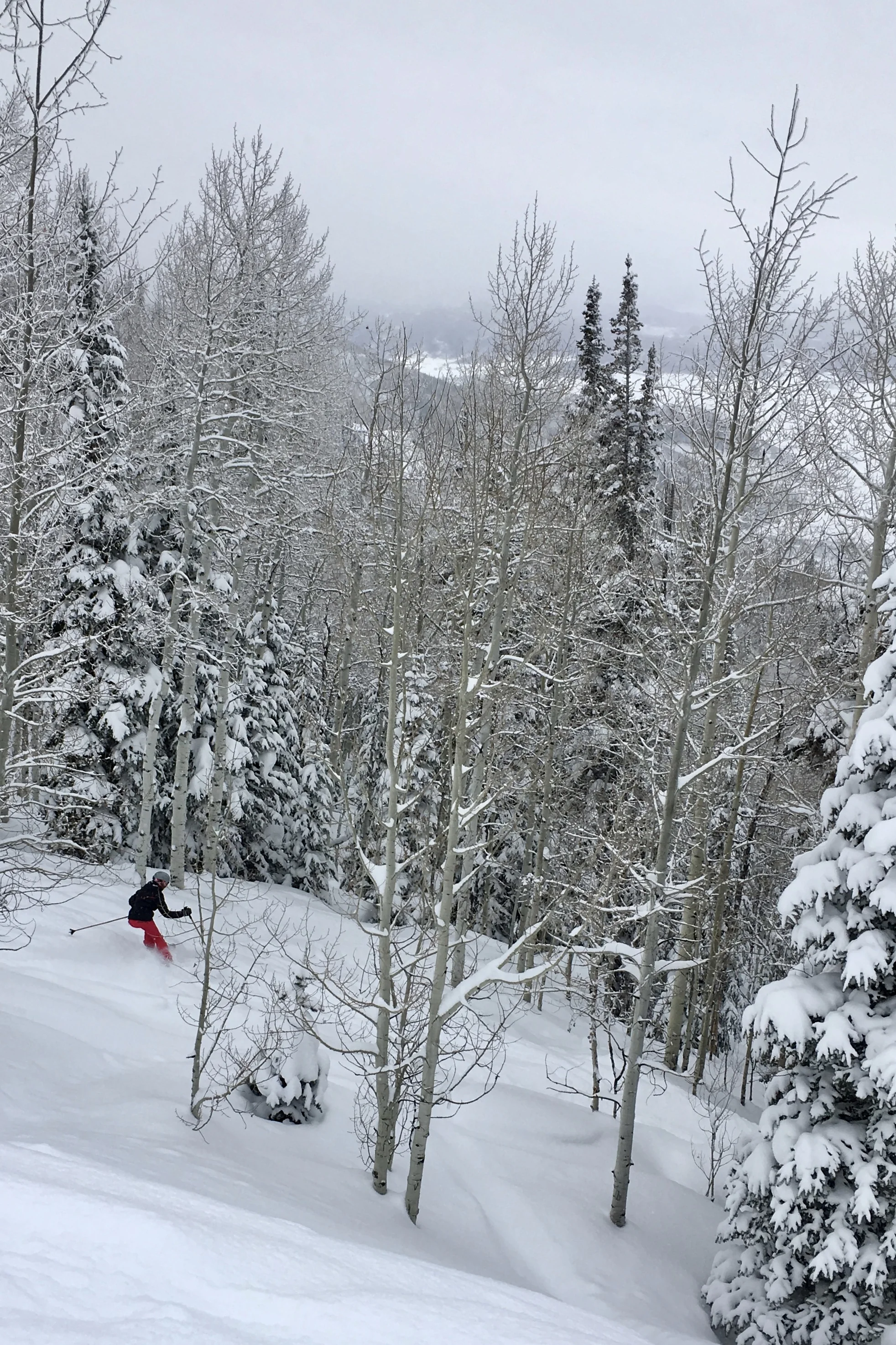 Grace in small things, January 13, 2017