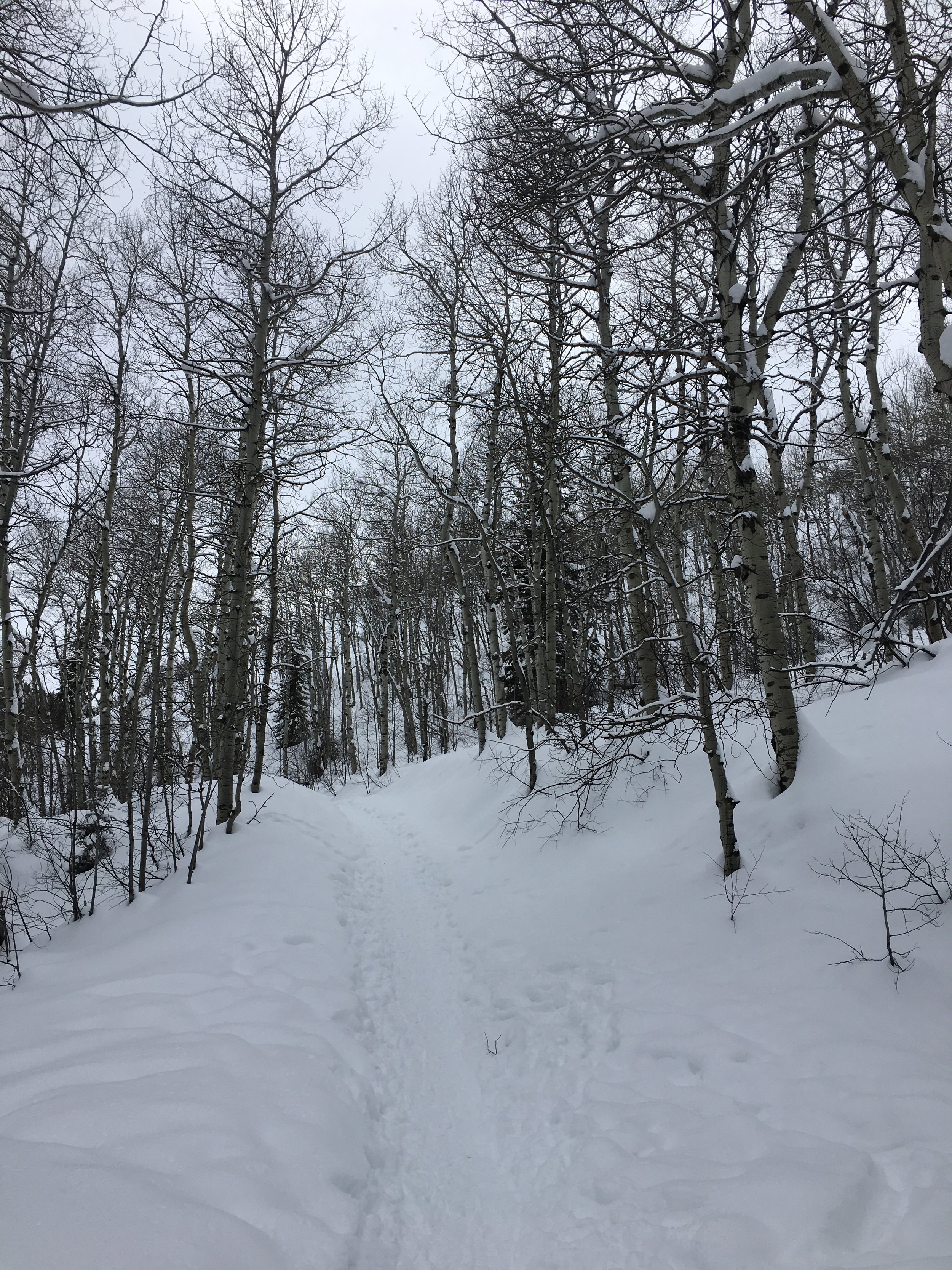 Grace in small things, January 27, 2017