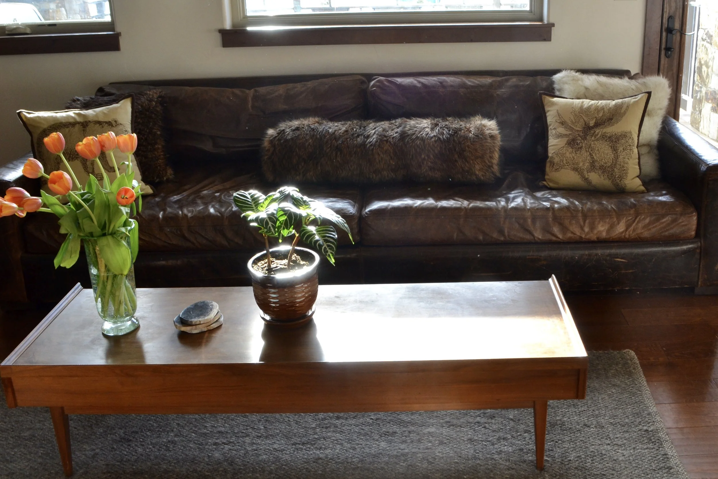 New couch cushions!