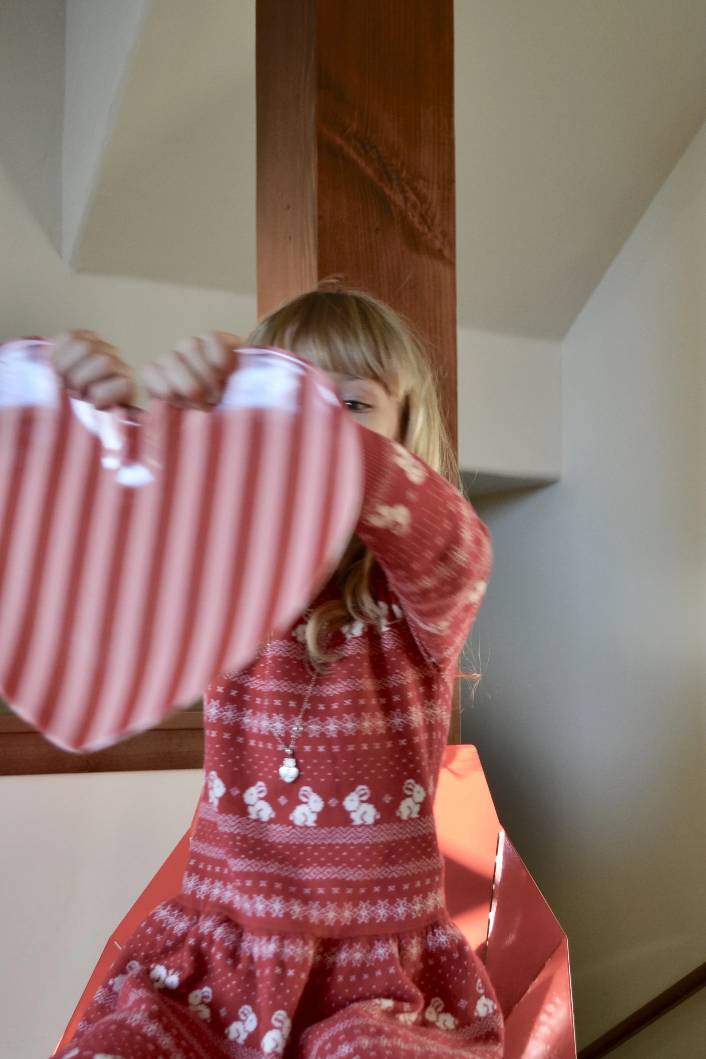 Valentine's Day 2017