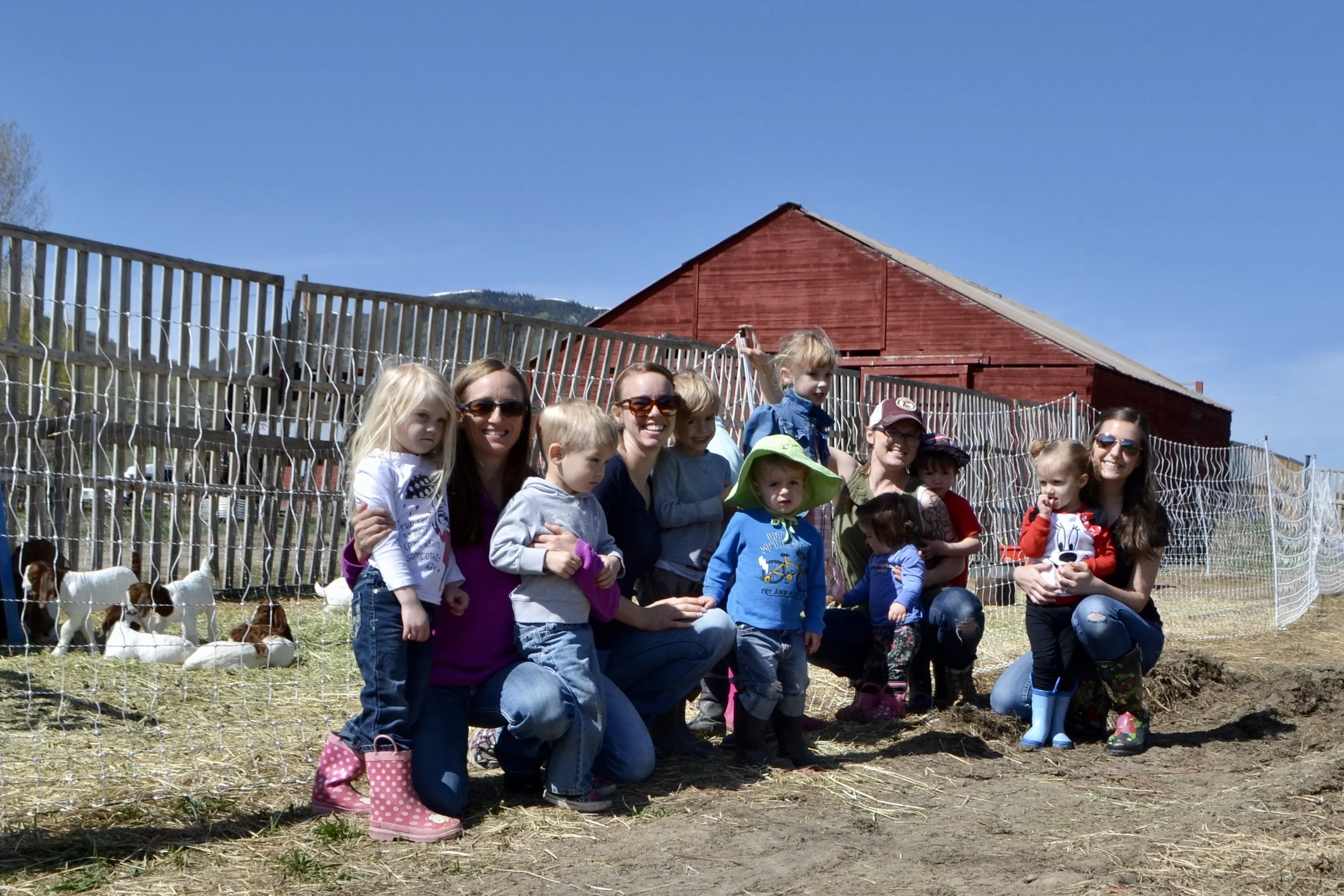 Farm visit + a day in the life