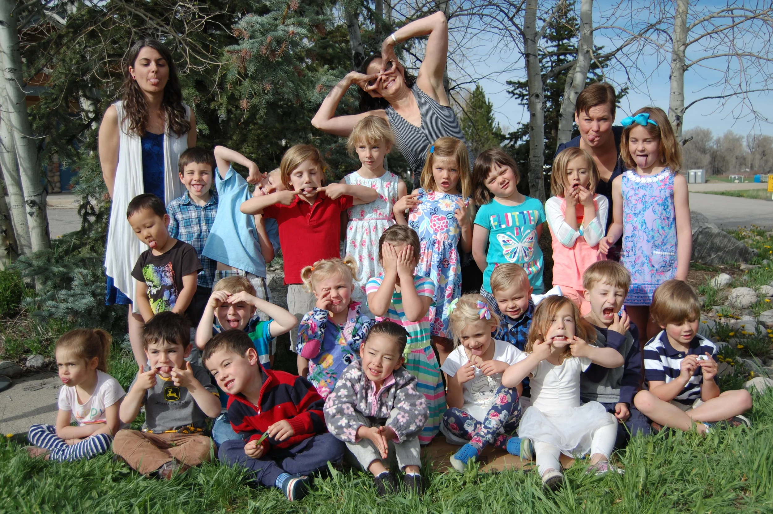 Sunflower Silly 01.JPG