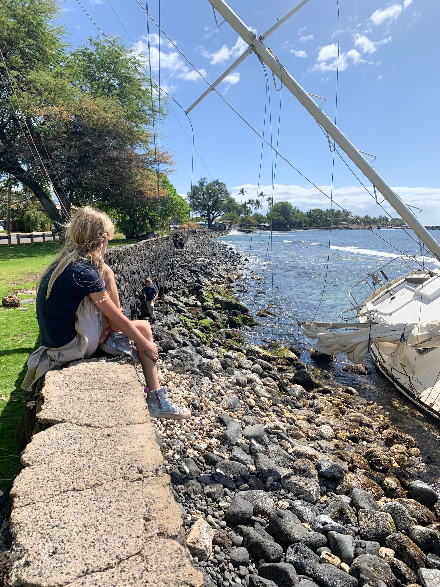 A shipwreck, dress up, chapter books + wildlife