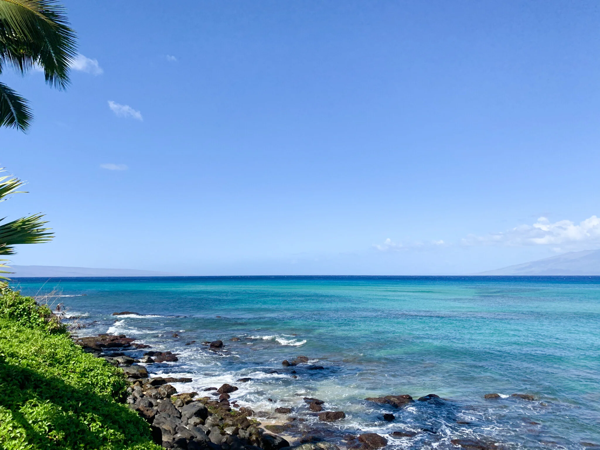 Yoga, a video, a pink unicorn + lentils