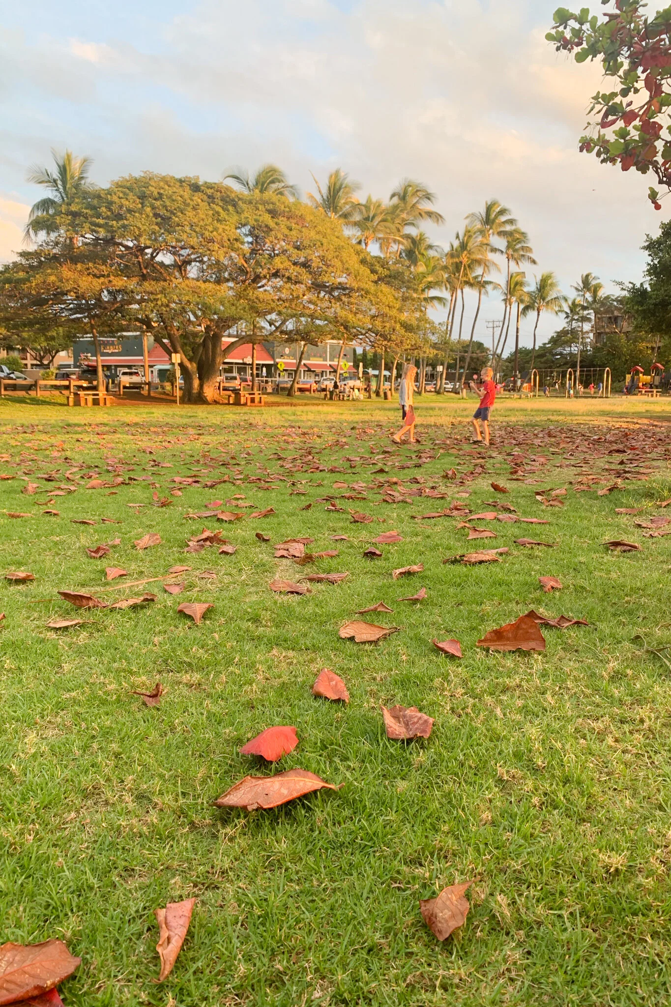 Surfing, Kubo, B-day prep + spaghetti