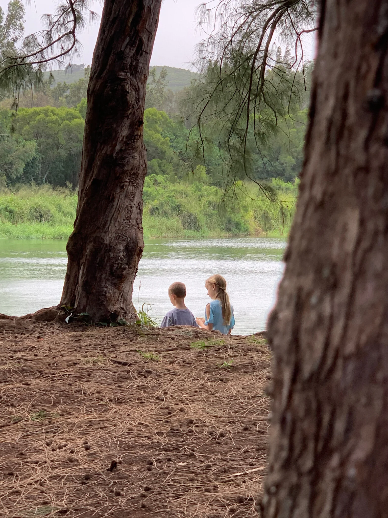 Maui empties out (quarantine week 3ish)