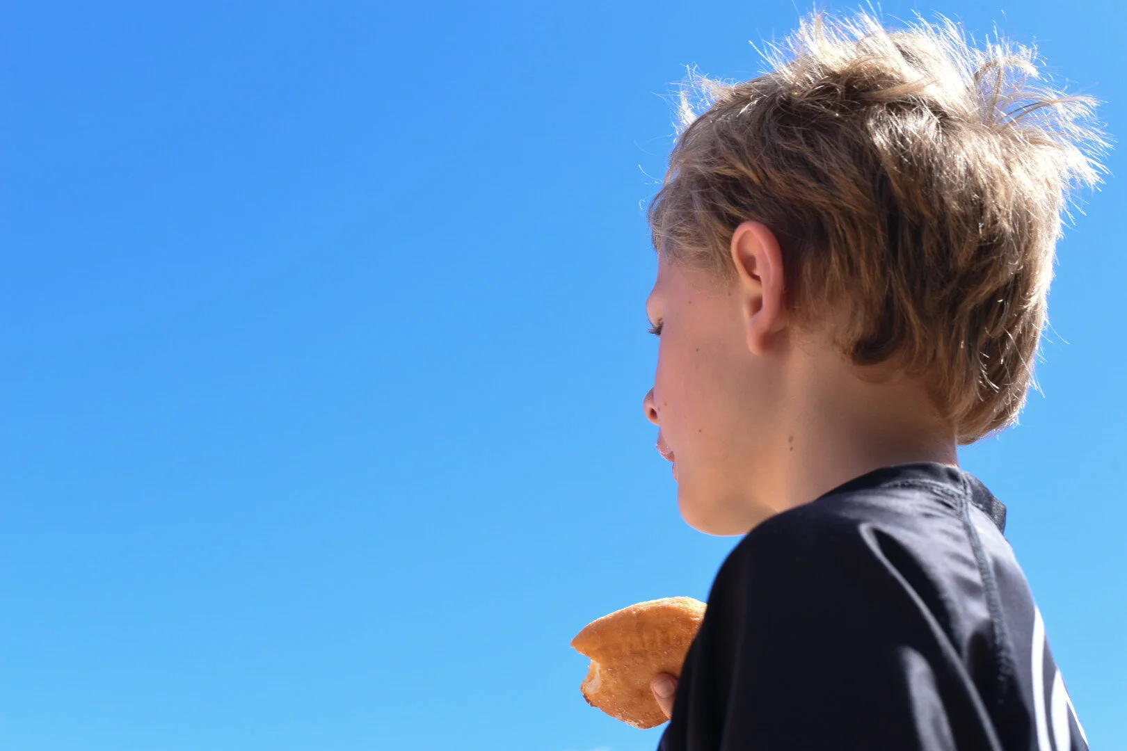 Beach, palms, turtles + malasadas 