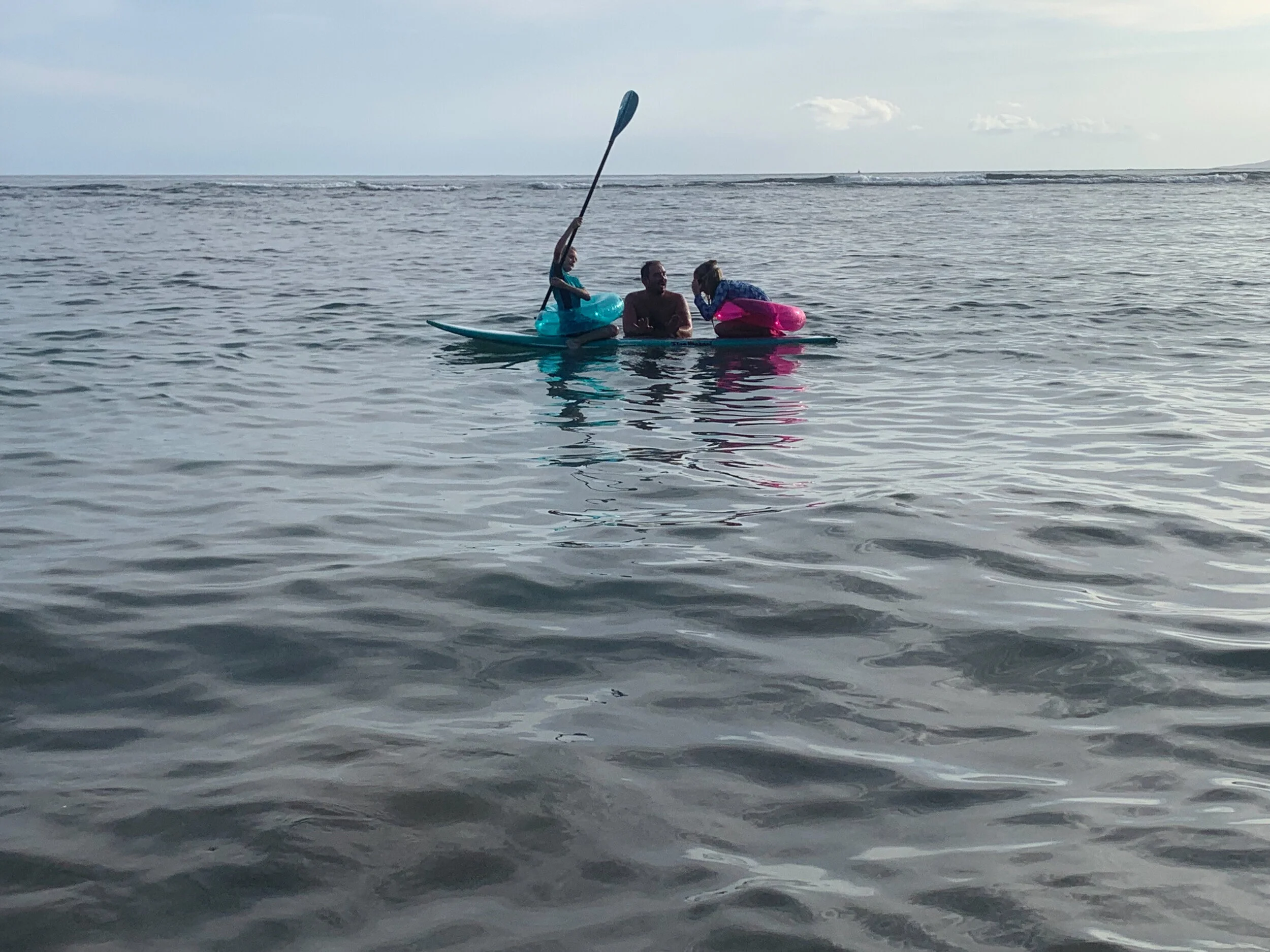 Newtie has surgery, SUP + Zo goes to Merrimans