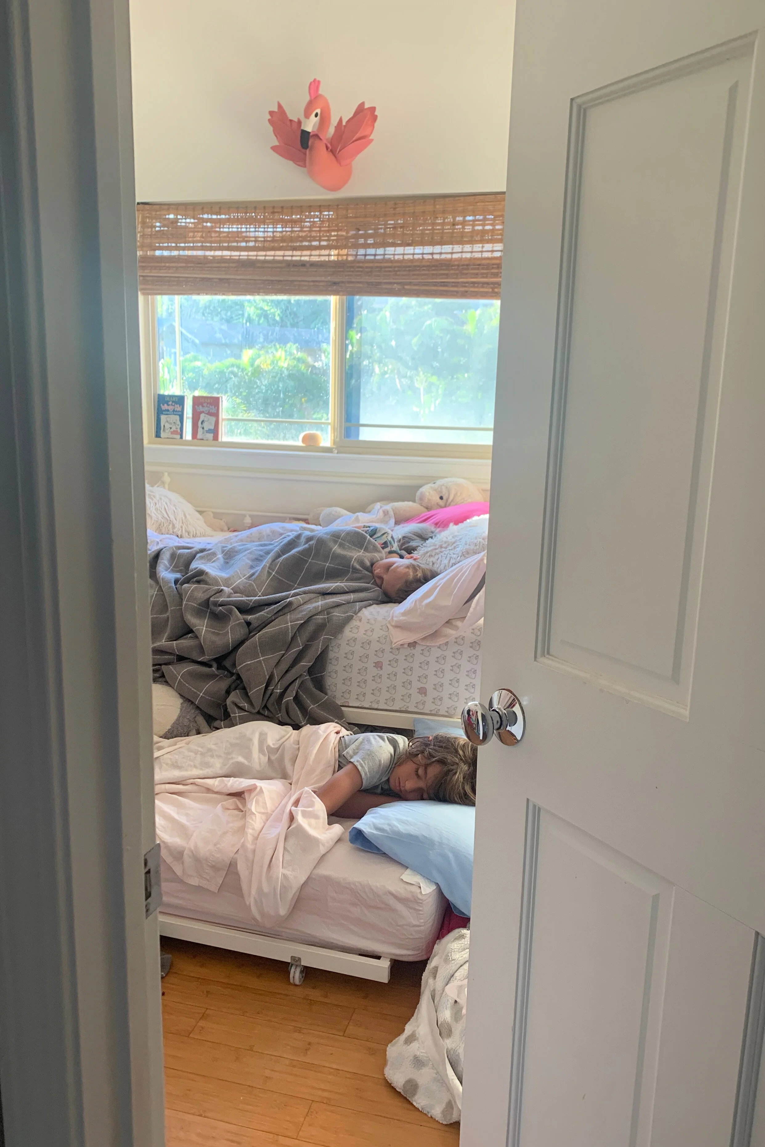 A fire, puppy love + a sleepover