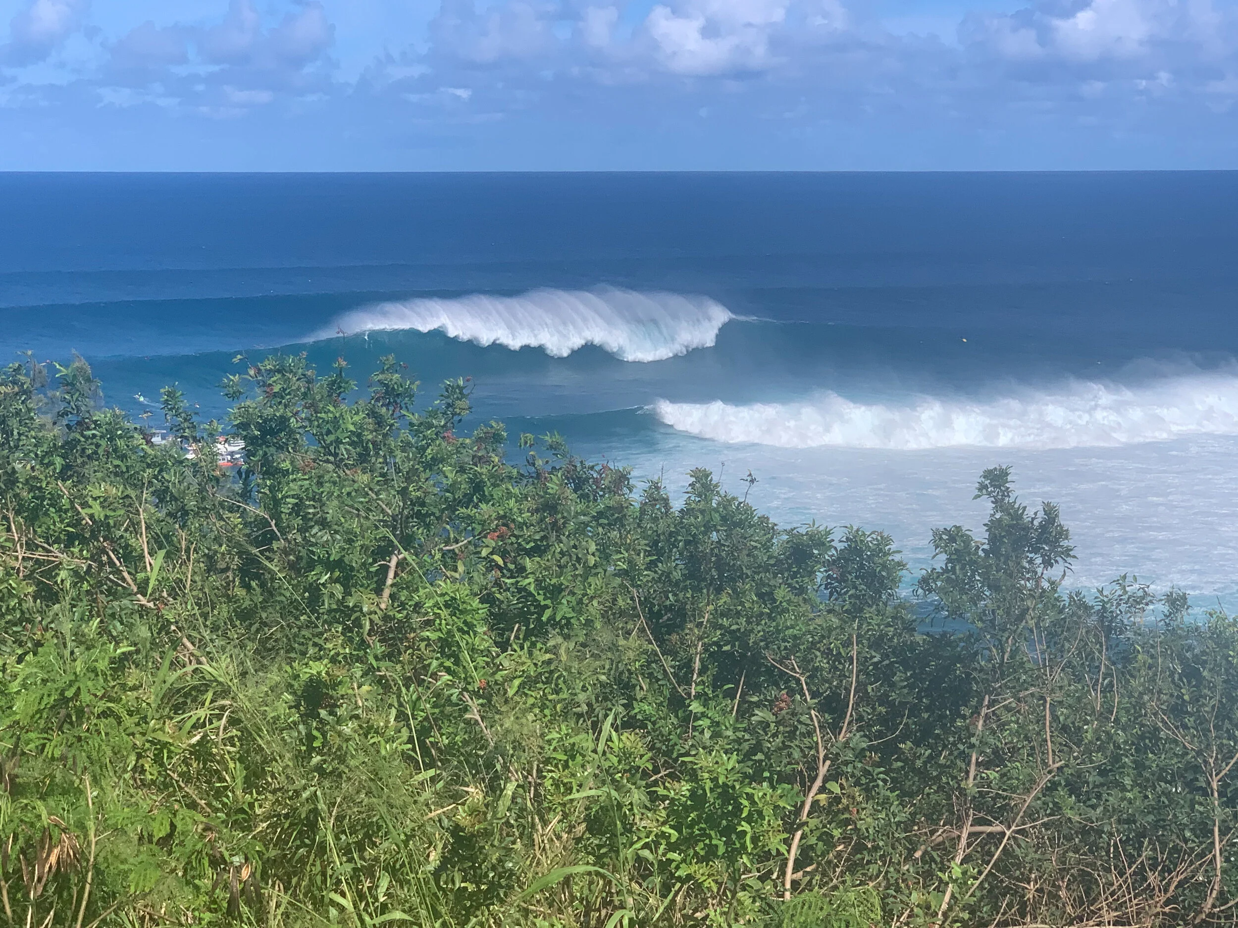 Grammy and Papa: Week 2