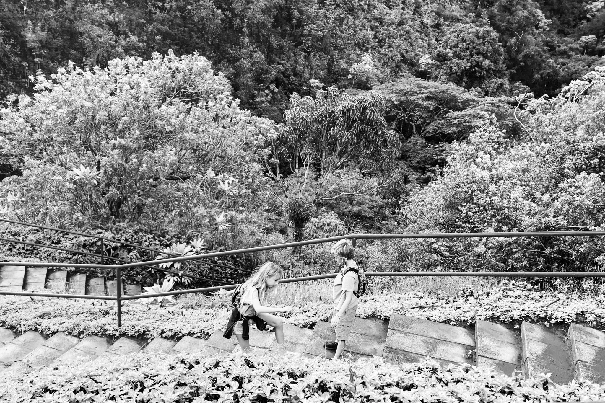 Surfing, school's back in session + Iao hike with John and Jo