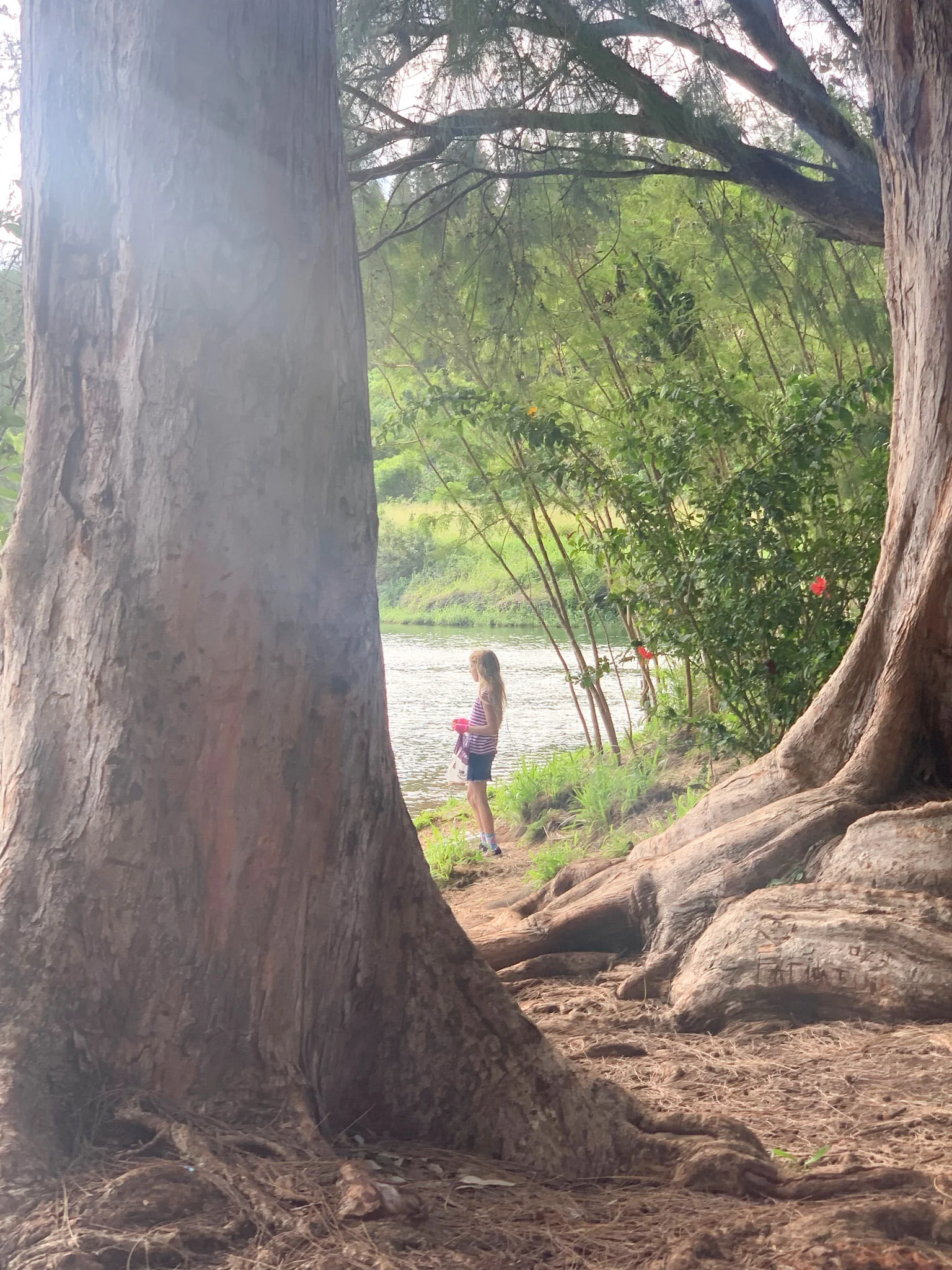 Hugs at the crosswalk, butterflies on the way to the duck pond + mostly at home