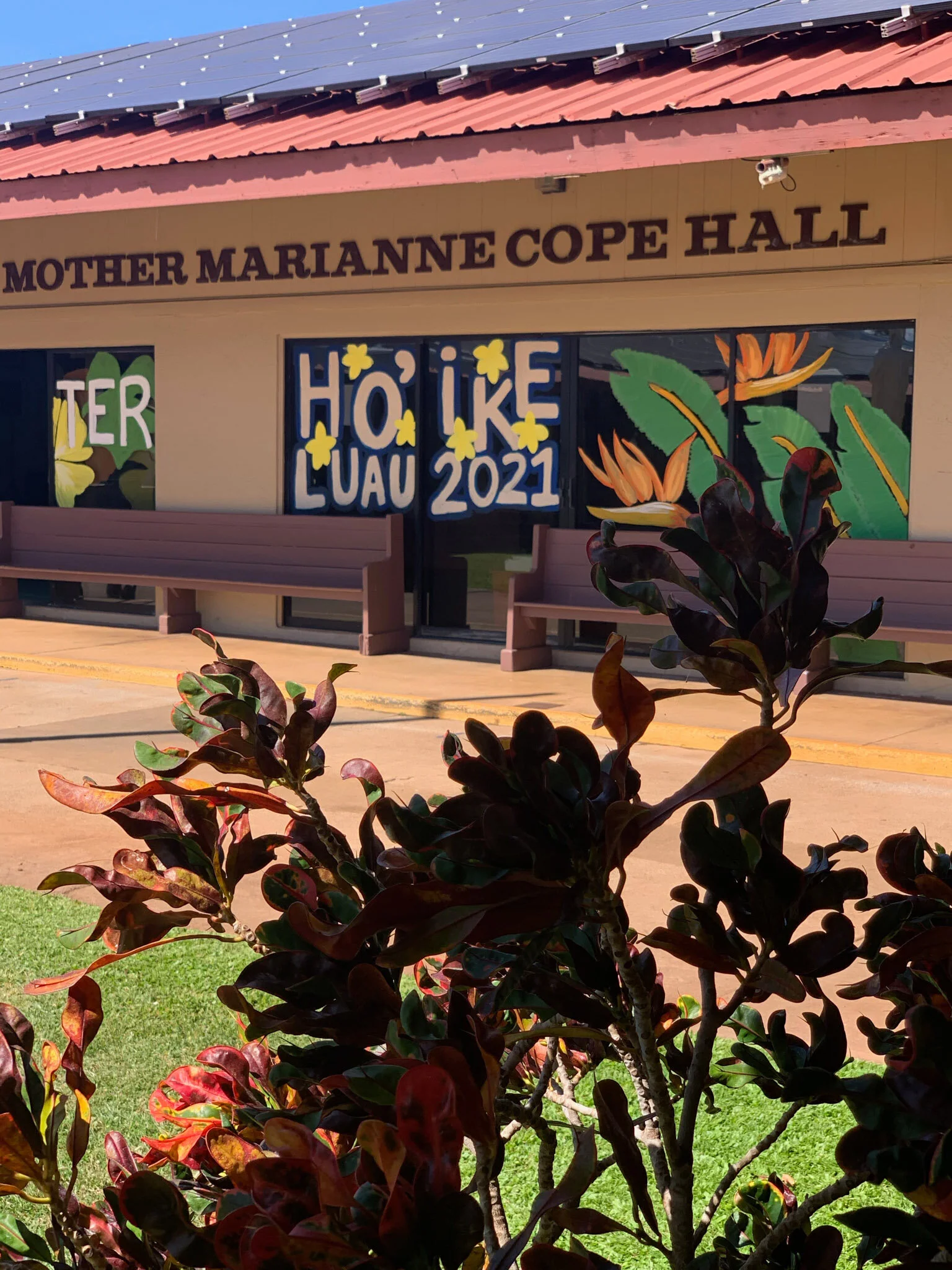 Books, a murder mystery, malasadas + a Lu’au