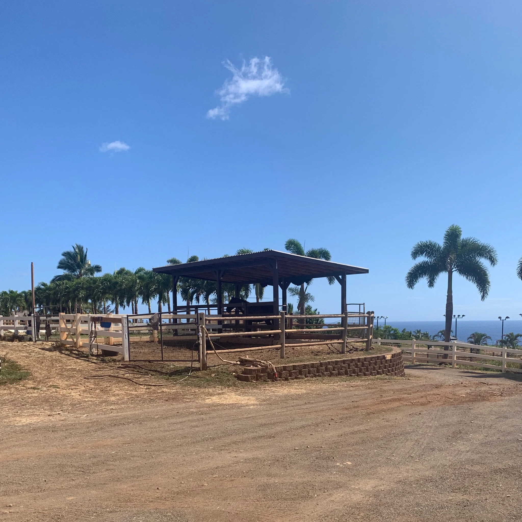 Heart surgery, horses, Teacher Appreciation + a great Mother's Day