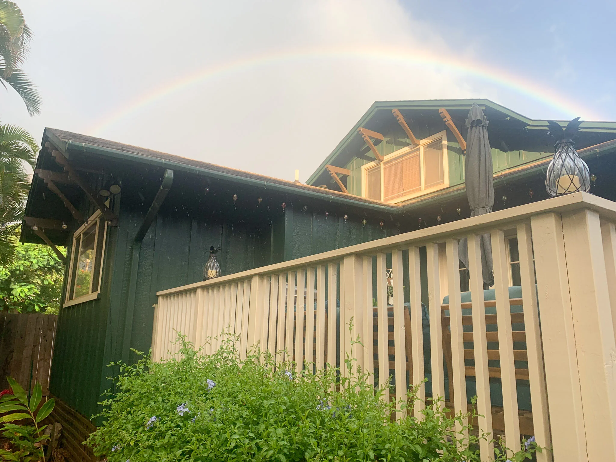 Surf, snorkel, friends + packing up